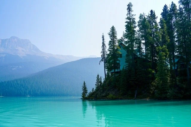 HRK02834 Medium.jpeg