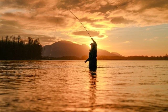 HRK04381 (1) Medium.jpeg