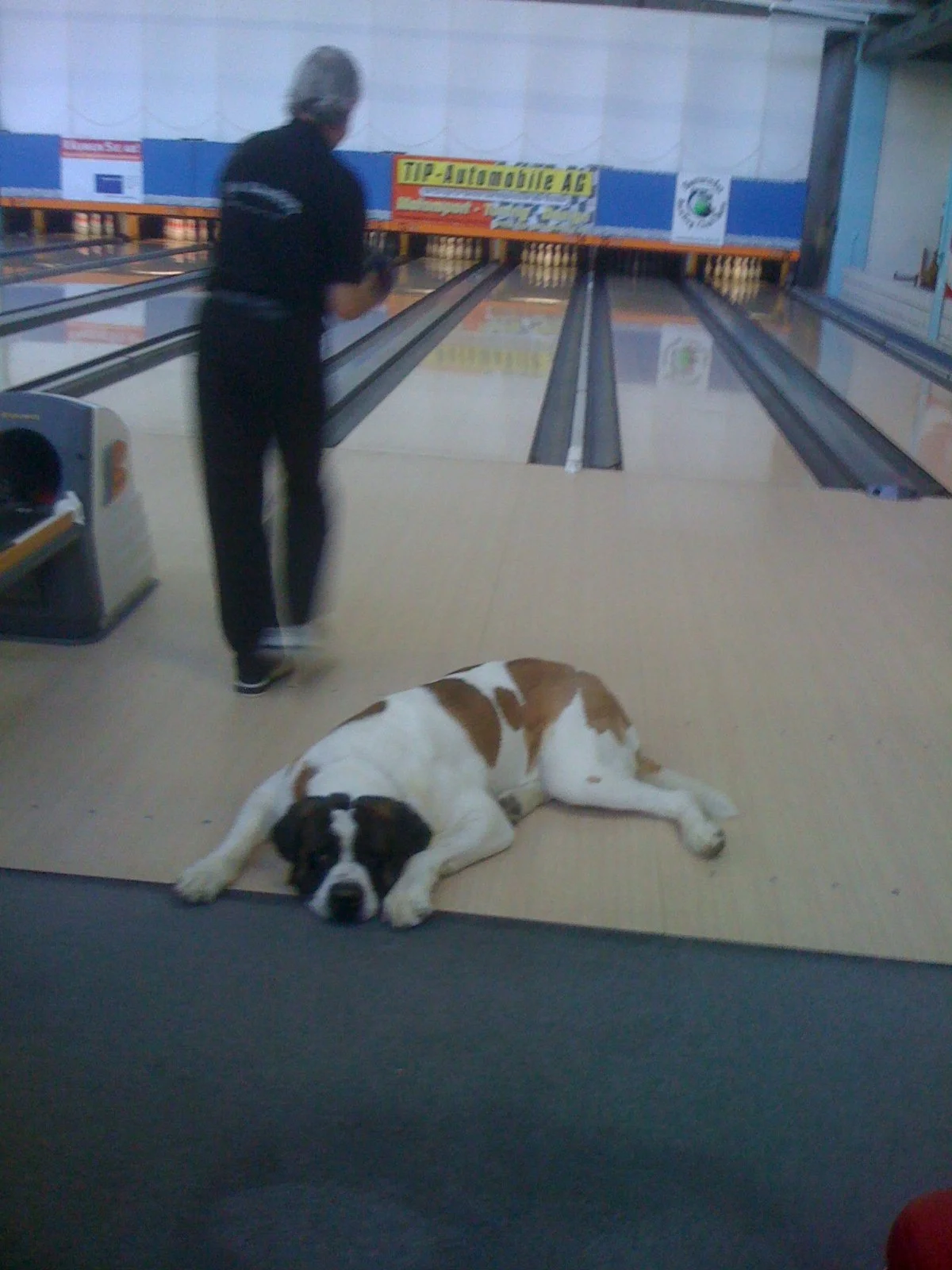 Having a difficult time coachning with this obstacle _) Bern, Switzerland 2010.JPEG