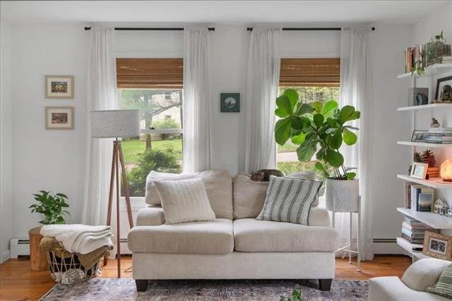 Bright living room with a cream sofa, large green potted plant, tall white curtains, wooden floors, and white bookshelves.