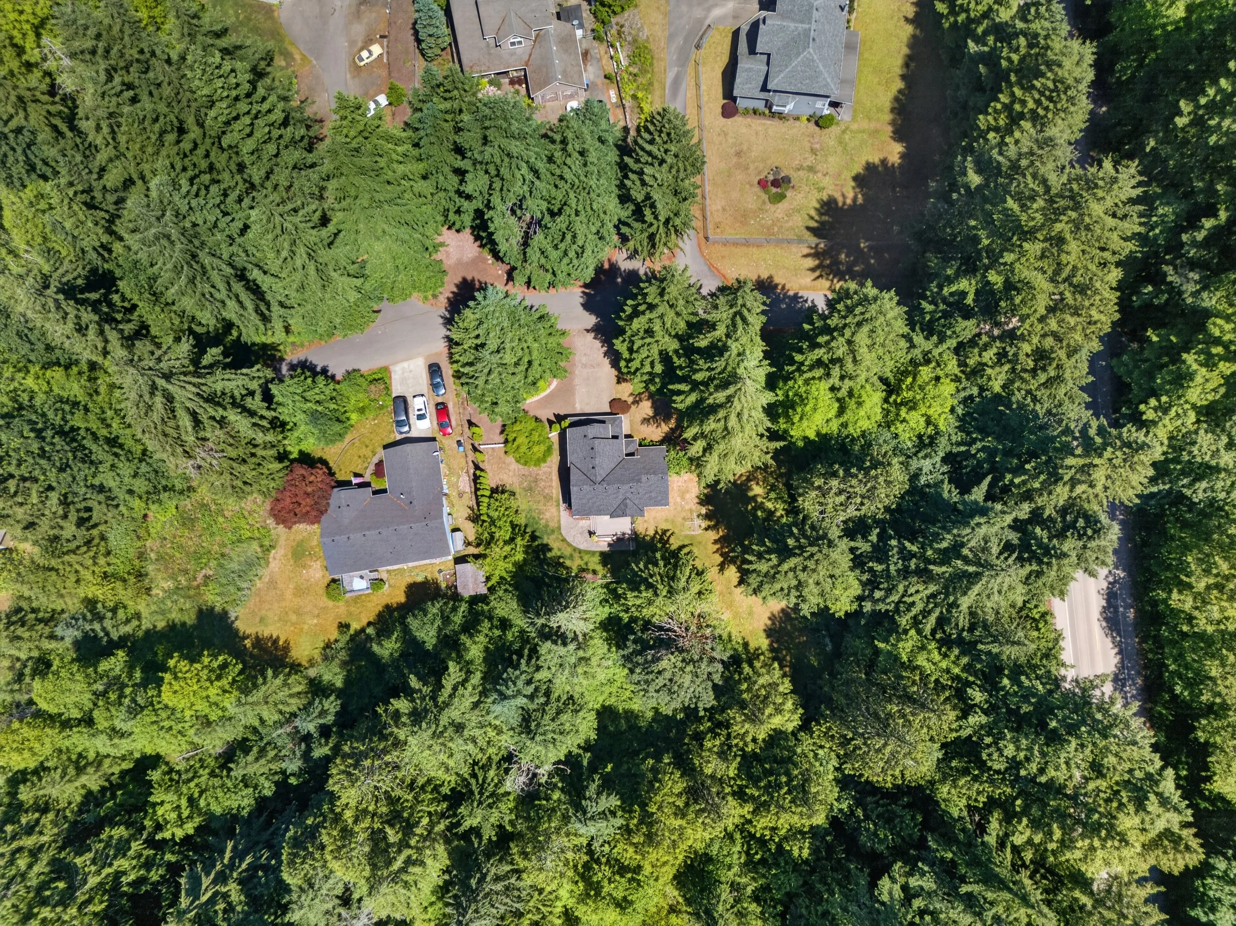 DJI_20260614121010_0295_D.jpg