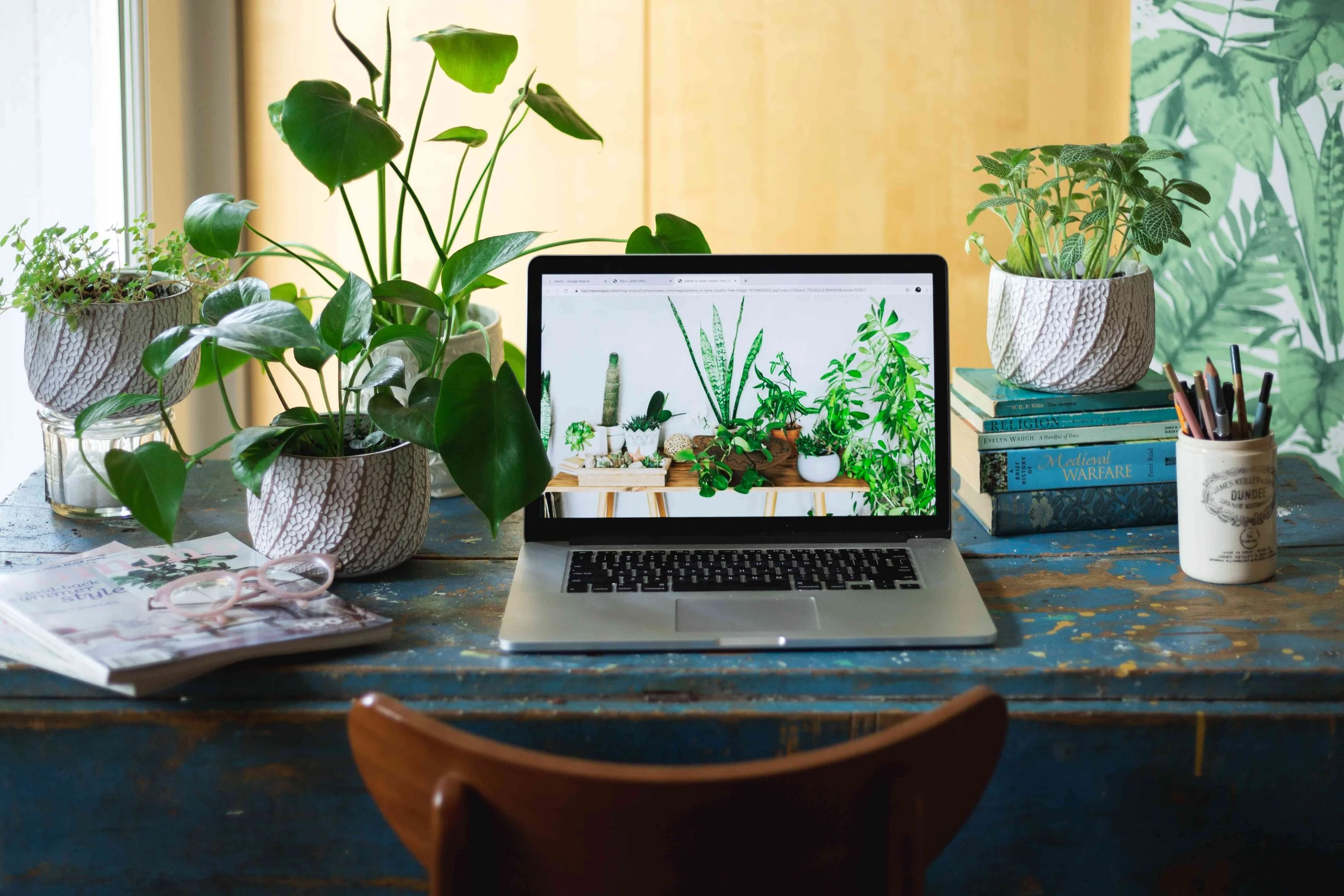 Desk Plant