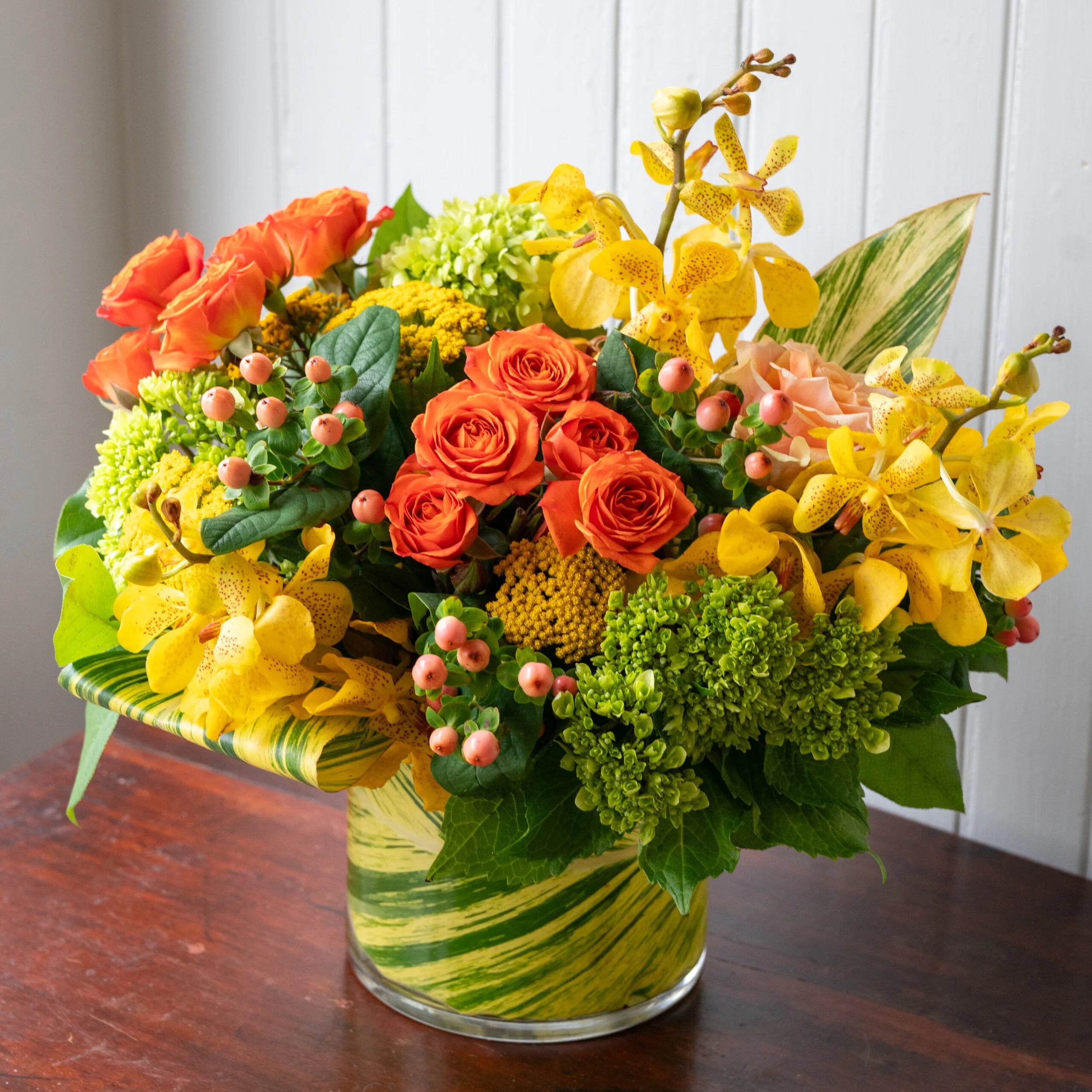 Designer's Bright and Bold Series