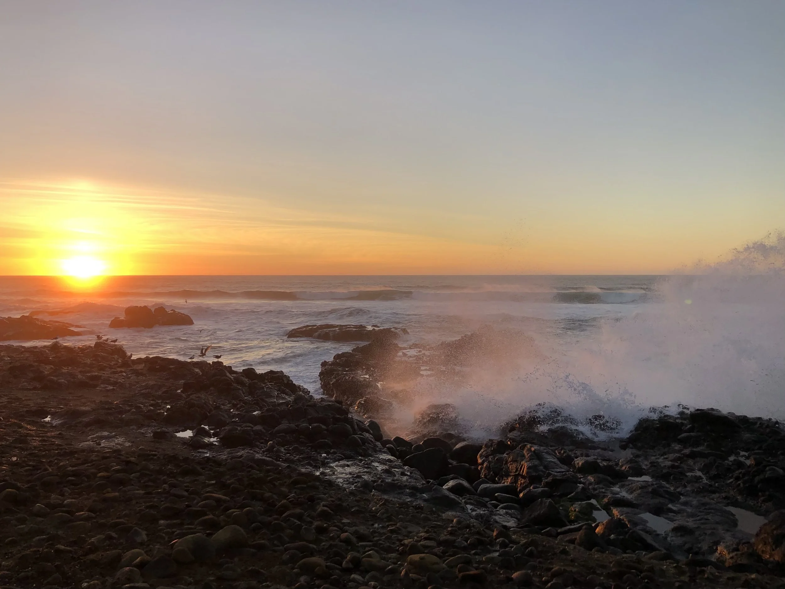 A sunset over a rocky ocean shore with waves crashing and a seagull flying in the foreground.