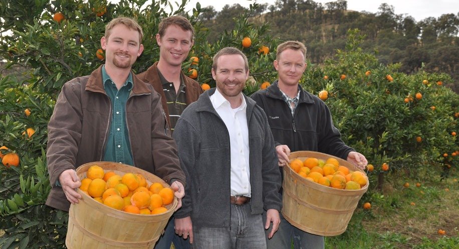 After more than 30 years of organic farming, our Capay Organic farm grows more that 130 varieties of fruits and vegetables on 500 acres of certified organic land. Our farm is now owned and operated by the second-generation farmers – Kathy and Martin’
