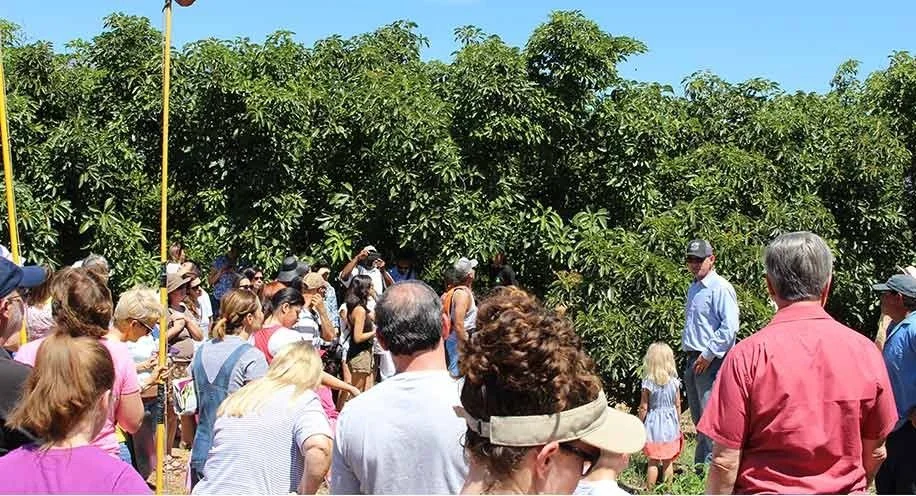 In 2007, we expanded our agricultural roots and began farming in areas of Southern California as the warmer winters allowed us to lengthen our growing season and extend the availability of some of our most-loved heirloom and traditional crops to thos