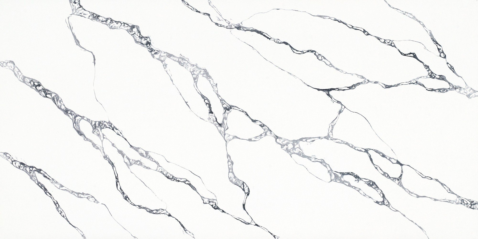 Calacatta Black Veins