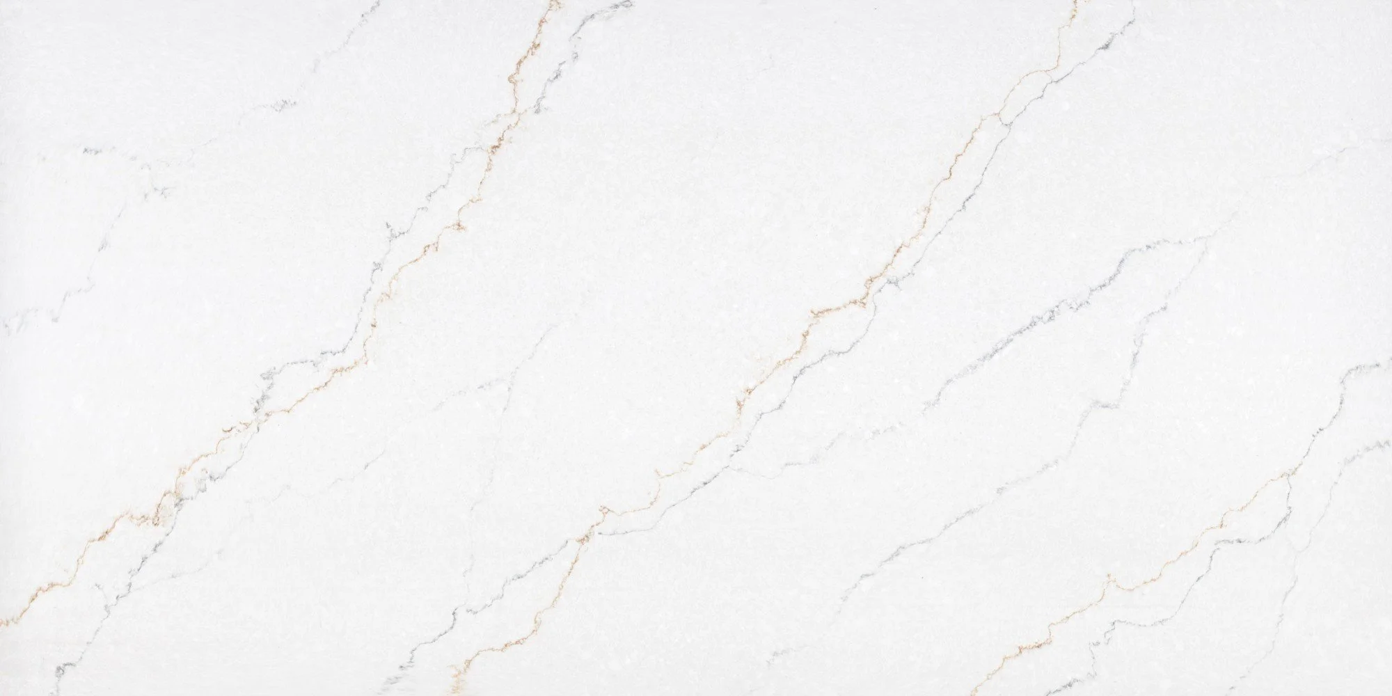 Calacatta Multicolor