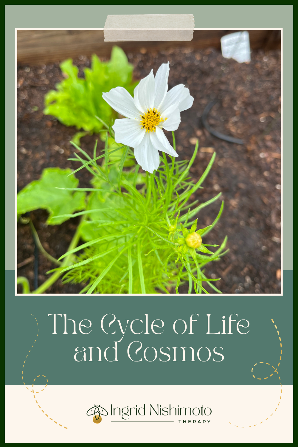 The Cycle of Life and Cosmos