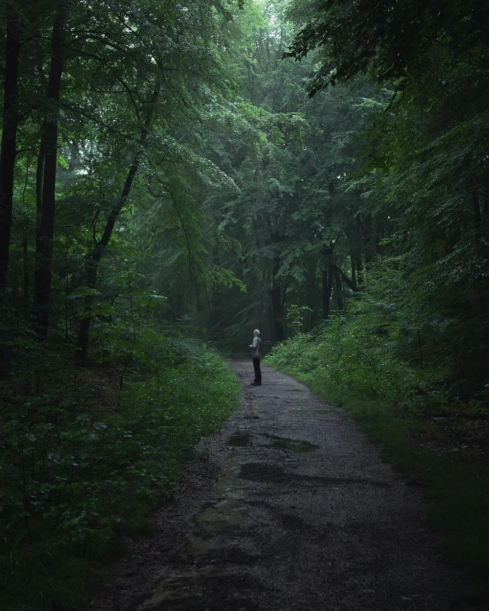 Person walking alone on a forest path reflecting on emotions during therapy for hereditary cancer risk