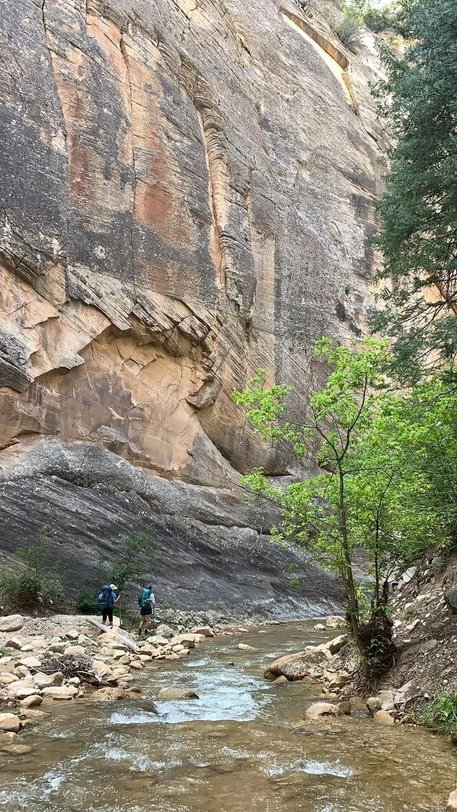 Two hikers walking through a canyon stream surrounded by tall rock walls.