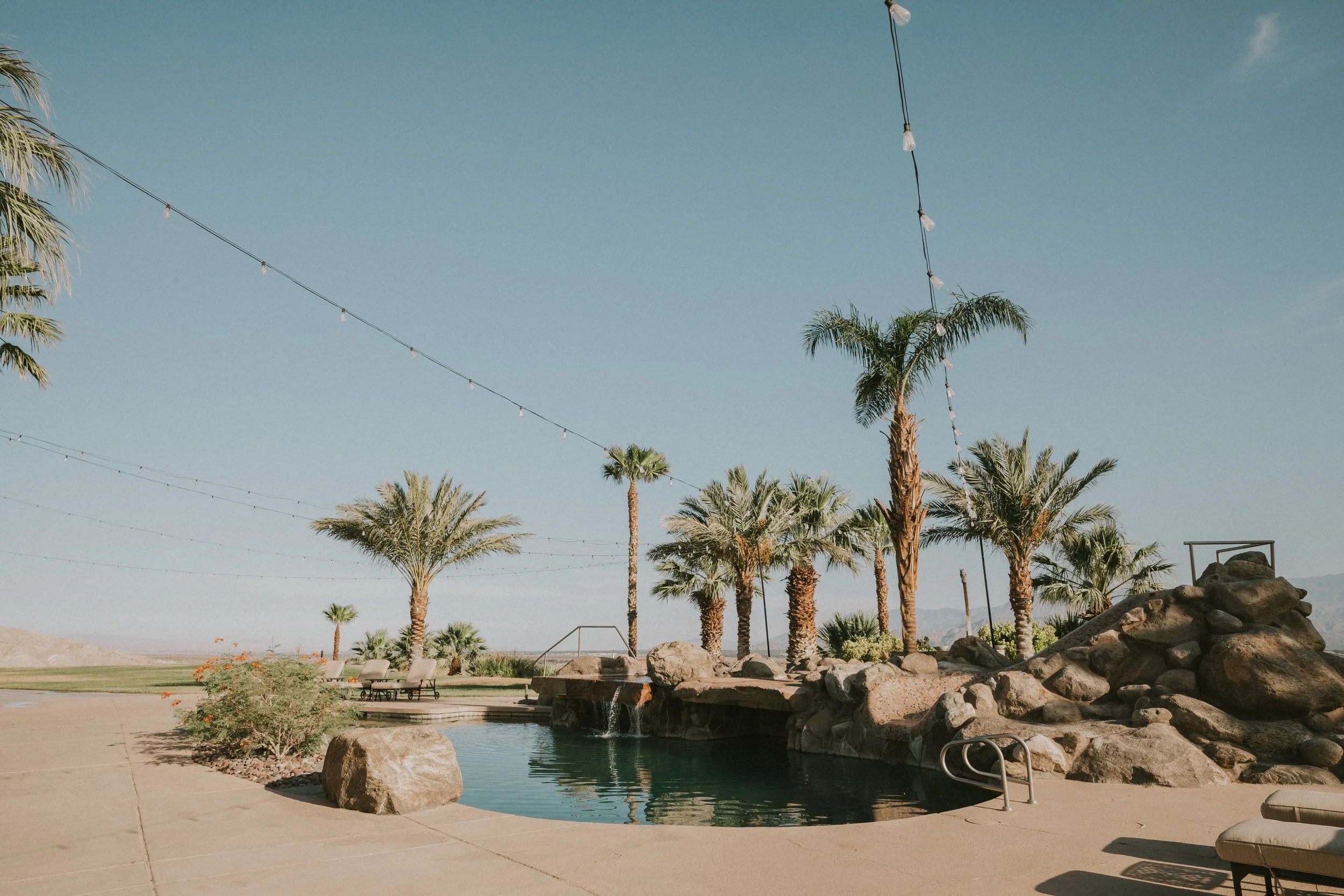 A tropical outdoor scene with palm trees, a small pond or pool with rocks, and string lights overhead on a clear day.