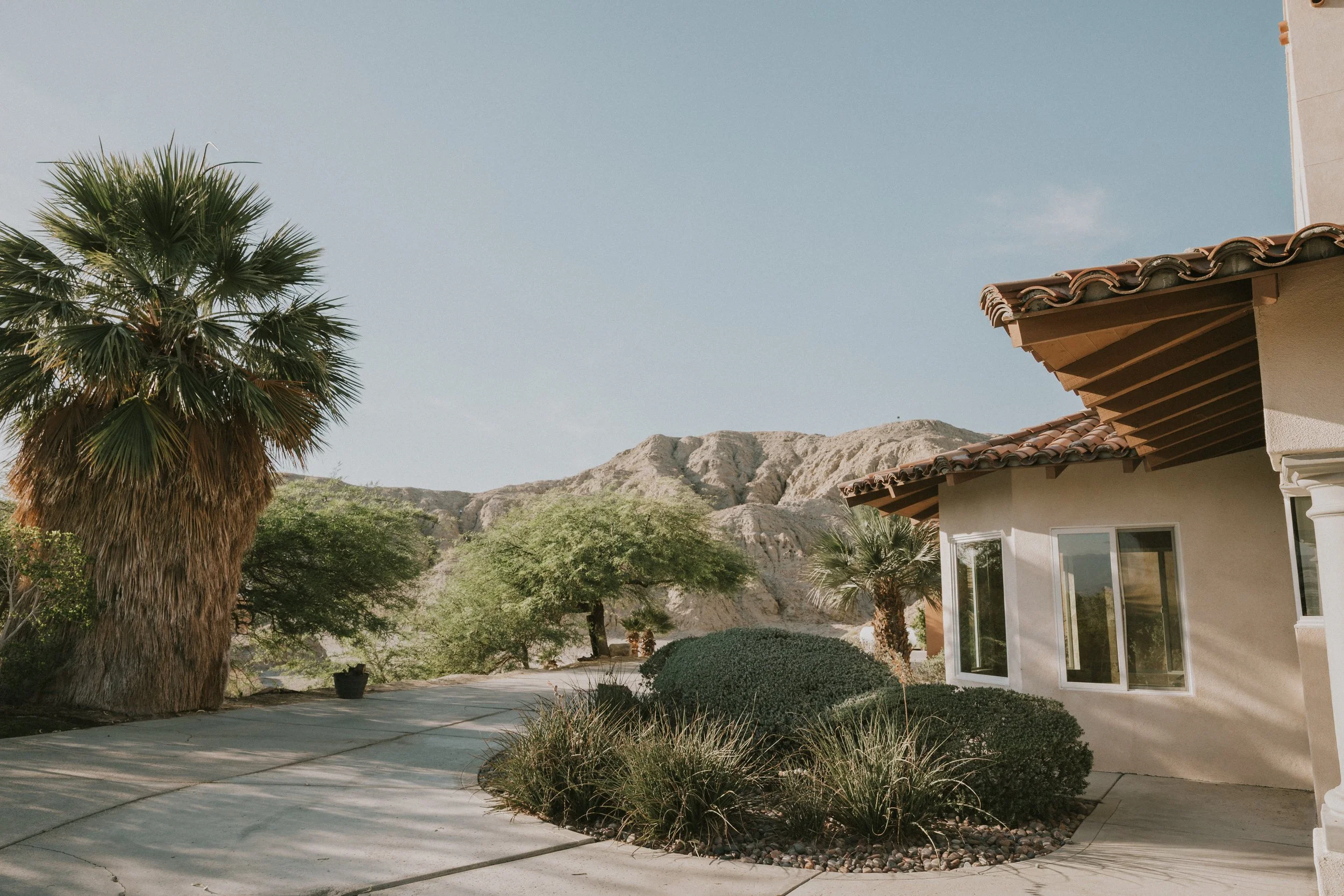 A desert landscape with a tall palm tree, green shrubs, a house with a beige stucco wall and red tile roof, and a mountain in the background under a clear blue sky.