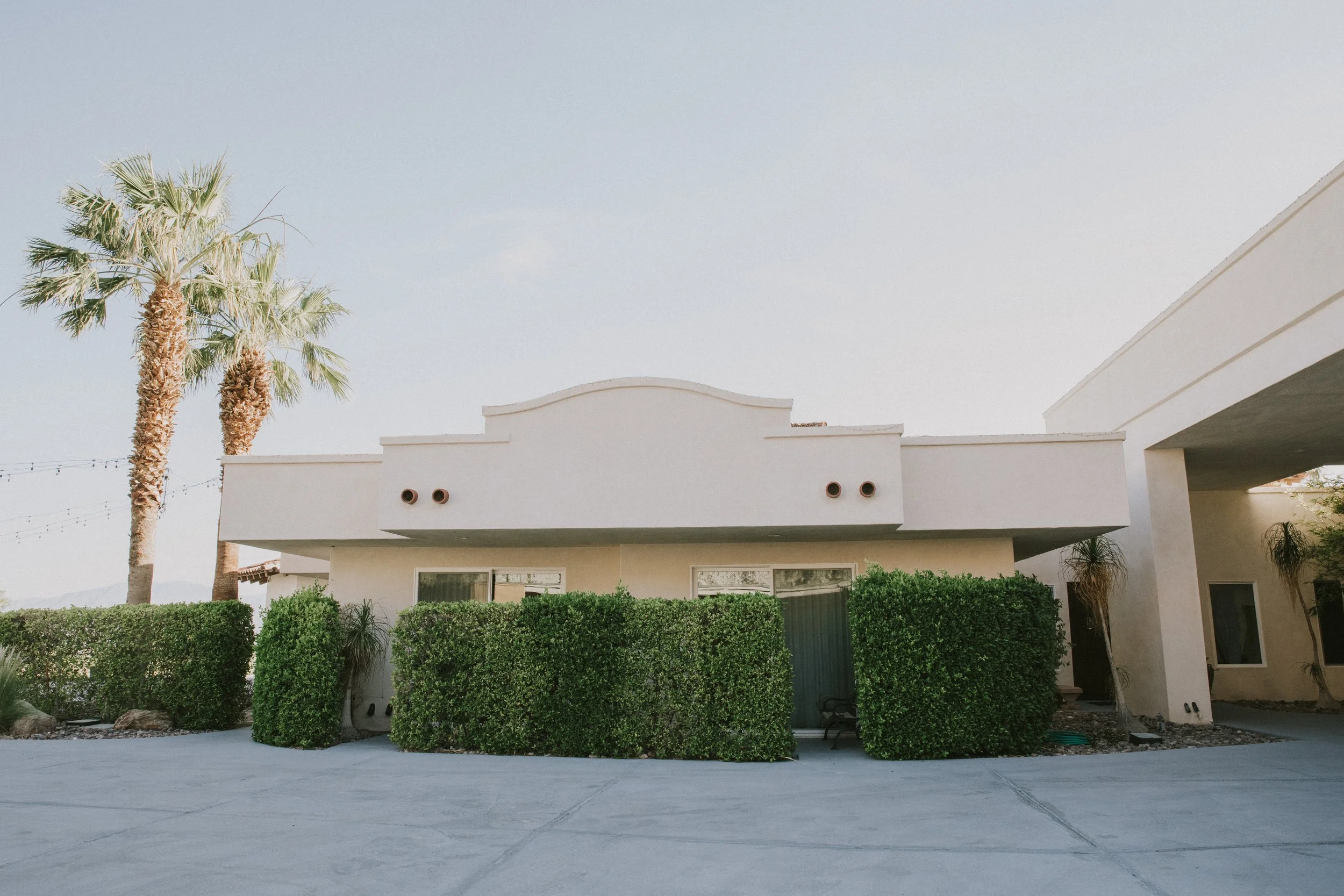 Modern white house with two palm trees, bushes, and a concrete driveway in front.