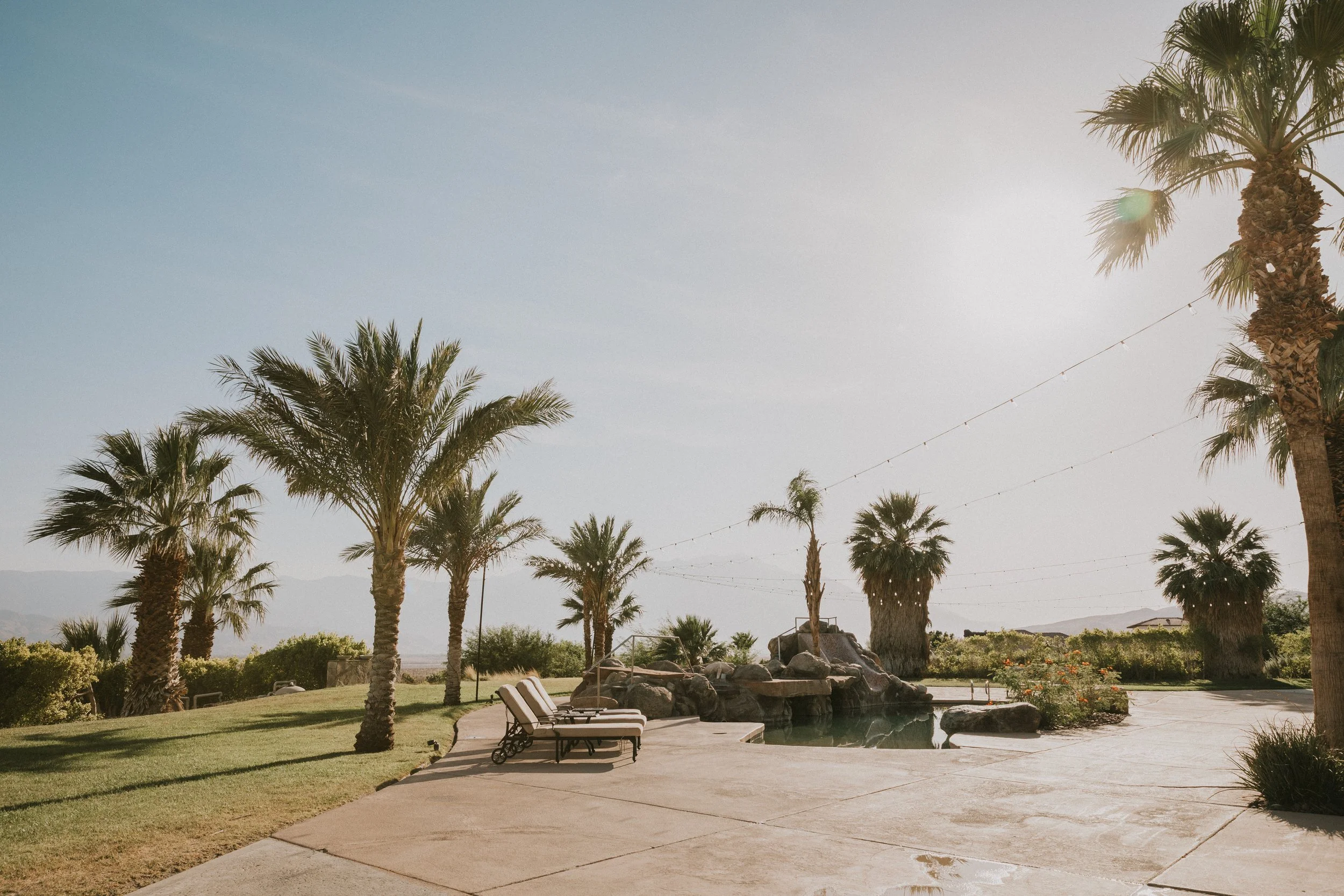 A backyard with several tall palm trees, a swimming pool, lounge chairs, and string lights, with mountains and a clear sky in the background.