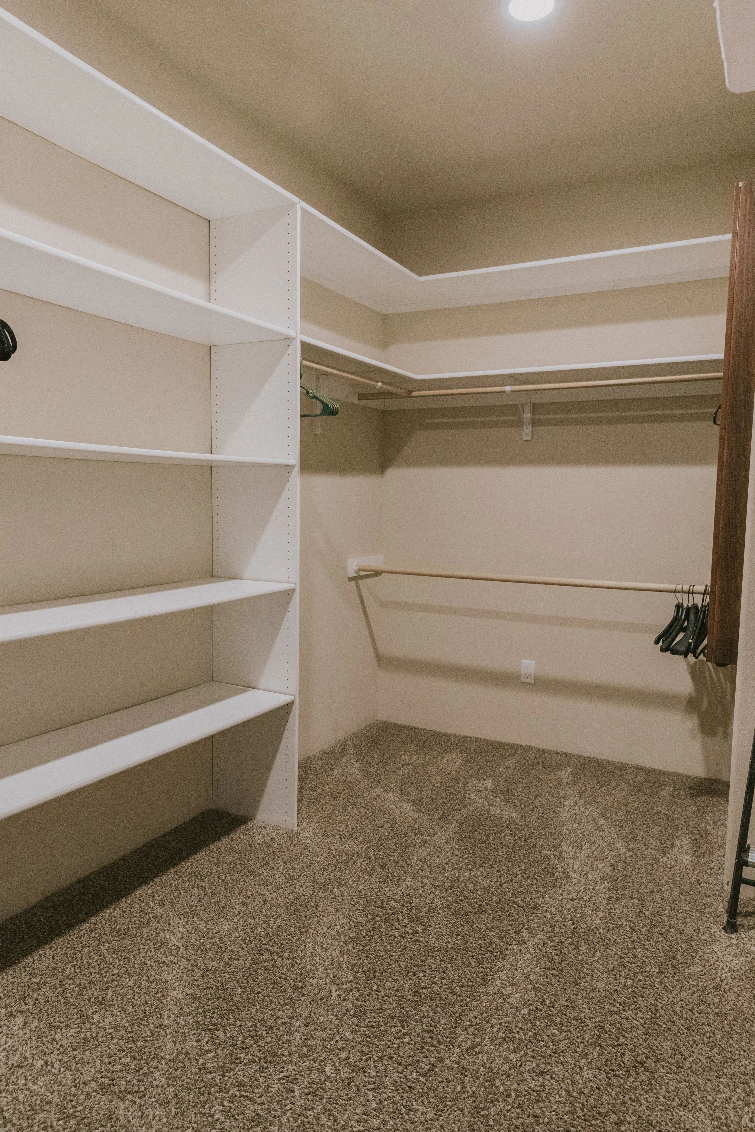 Empty walk-in closet with white shelves on the left and beige walls, carpeted floor, and empty hanging rods.