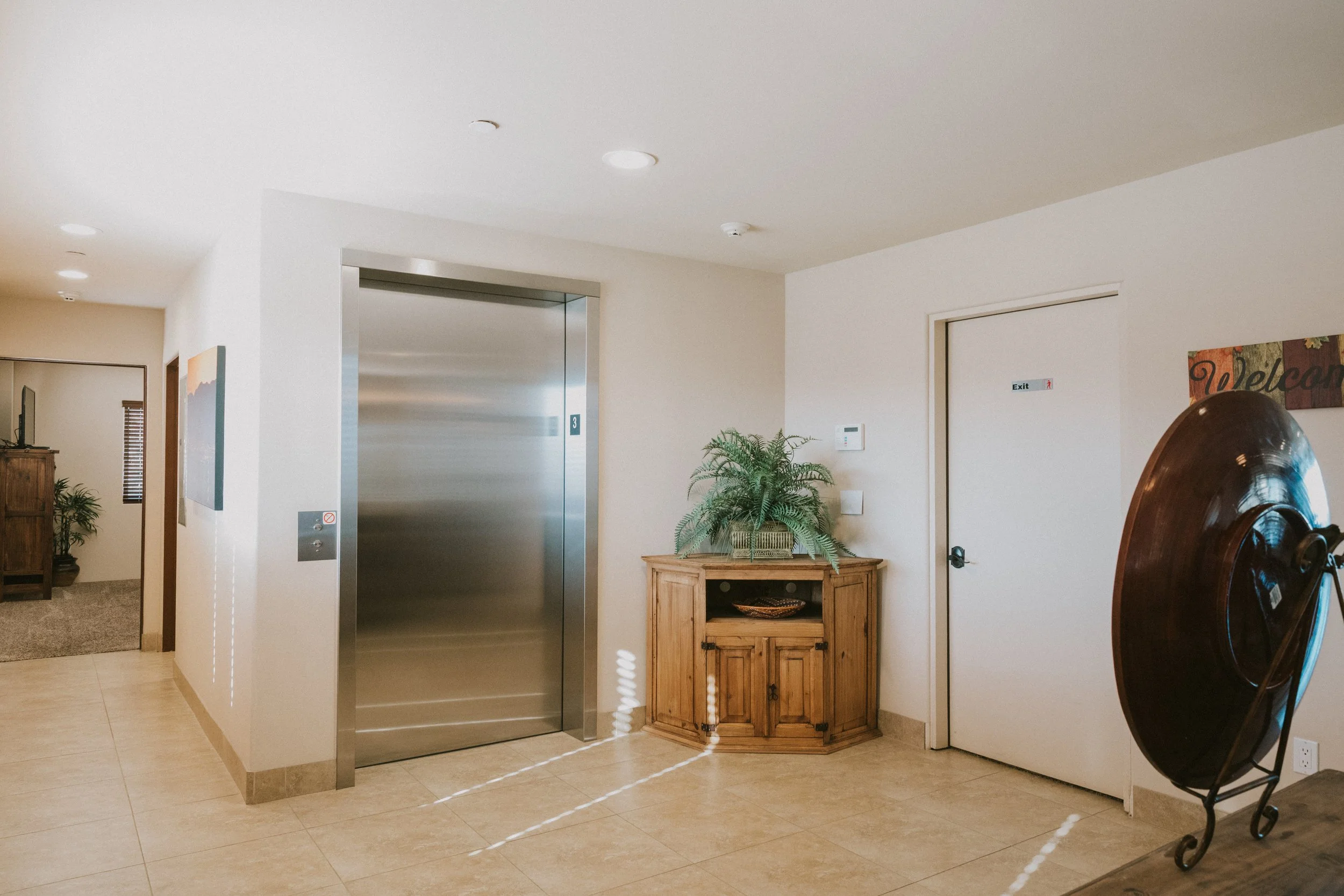 Interior of a building with an elevator, potted plants, a wooden cabinet, and a large sculpture. The ceiling has recessed lighting and a smoke detector.