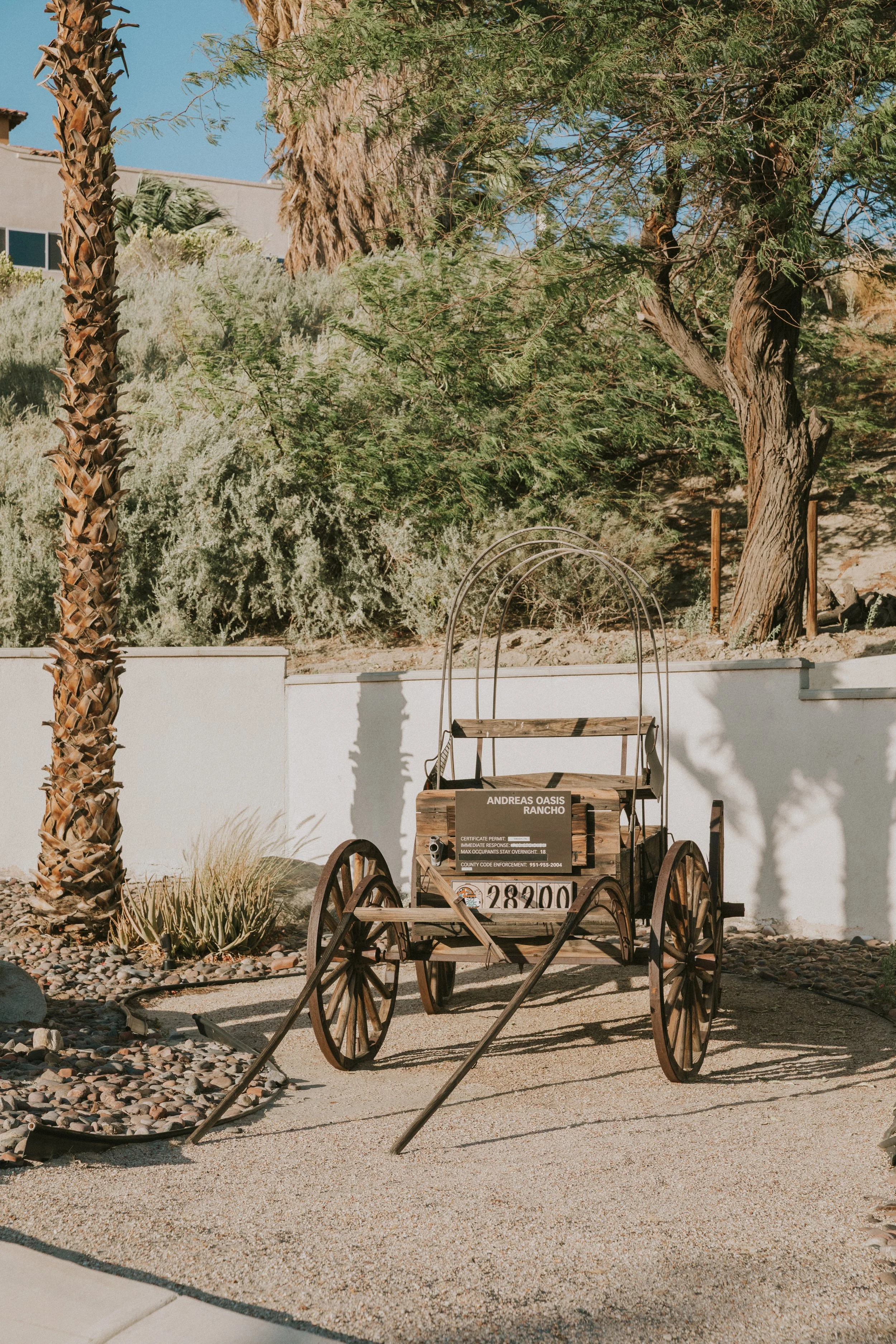 An old wooden horse carriage with large wooden wheels and a sign on it reading 'Andreas Oasis Rancho,' parked on a gravel surface. In the background, there are desert plants, a palm tree, a leafy tree, and part of a building with windows under a clea