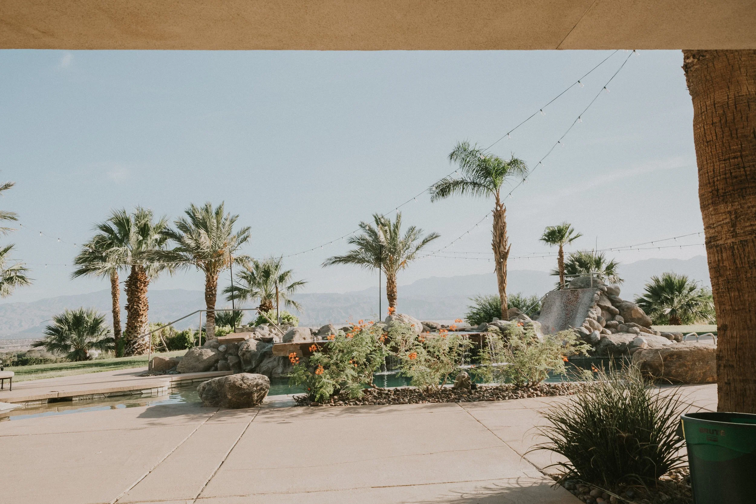 A desert scene with palm trees, rocks, and a swimming pool, viewed from under a shaded area with string lights overhead.