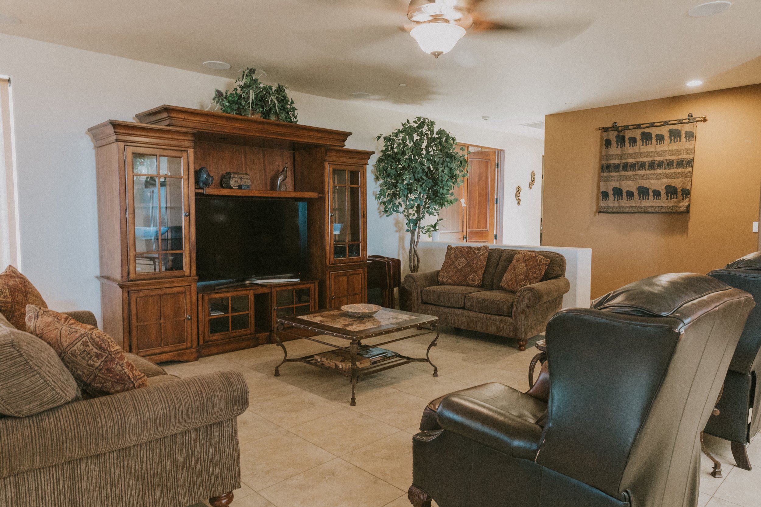 Living room with striped sofa, leather recliner, wooden entertainment center, two green plants, tapestry with elephants on the wall, ceiling fan, and tile flooring.