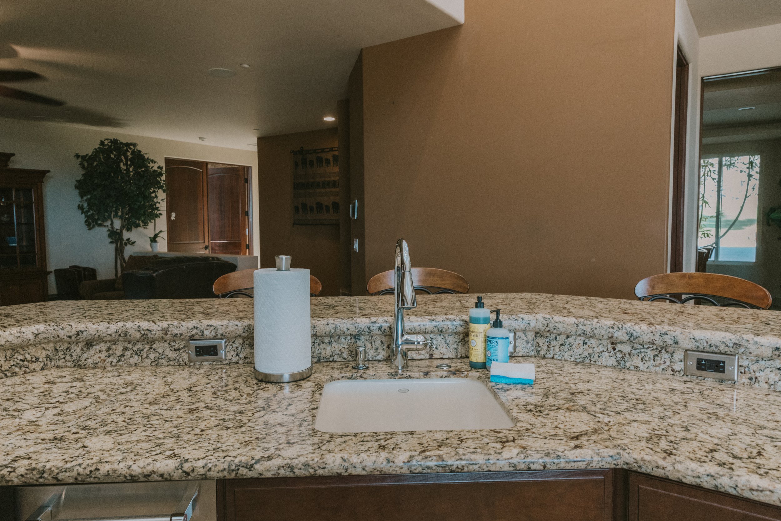 A kitchen counter with a granite surface containing a paper towel roll, a soap dispenser, and bottles of hand soap, with a sink and faucet. In the background, there is a living room with a tree, open doors, and windows showing trees and outdoor scene