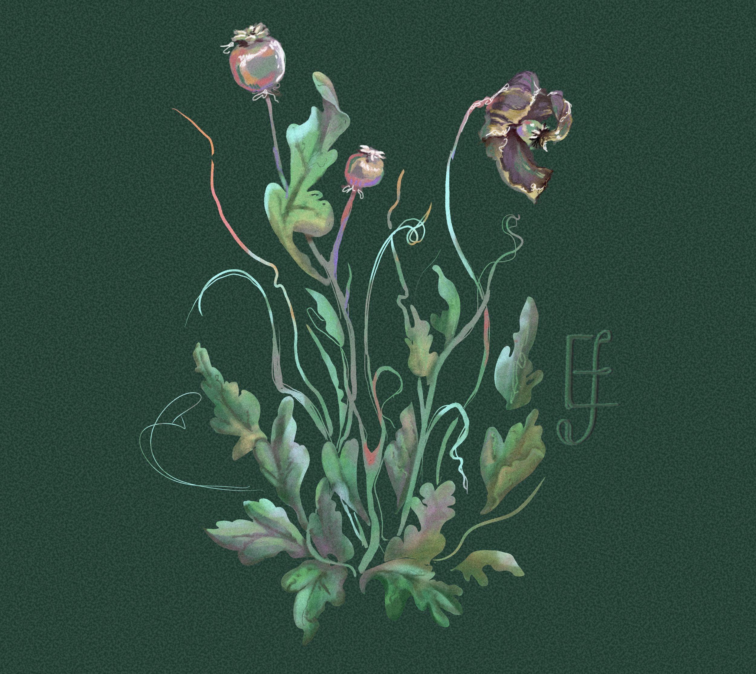 Untitled_Artwork 1.jpg