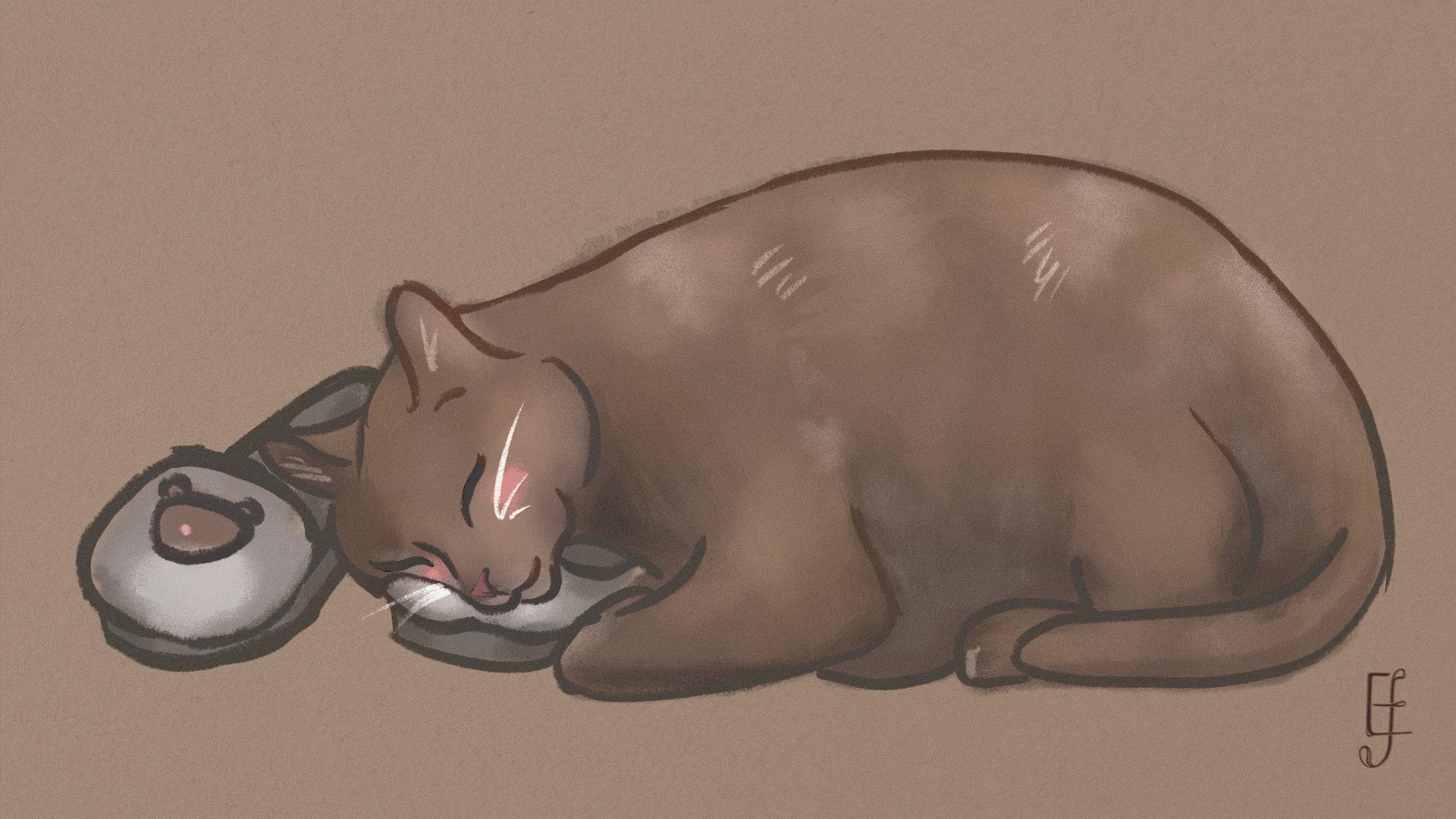 Slipper Kitten.jpg