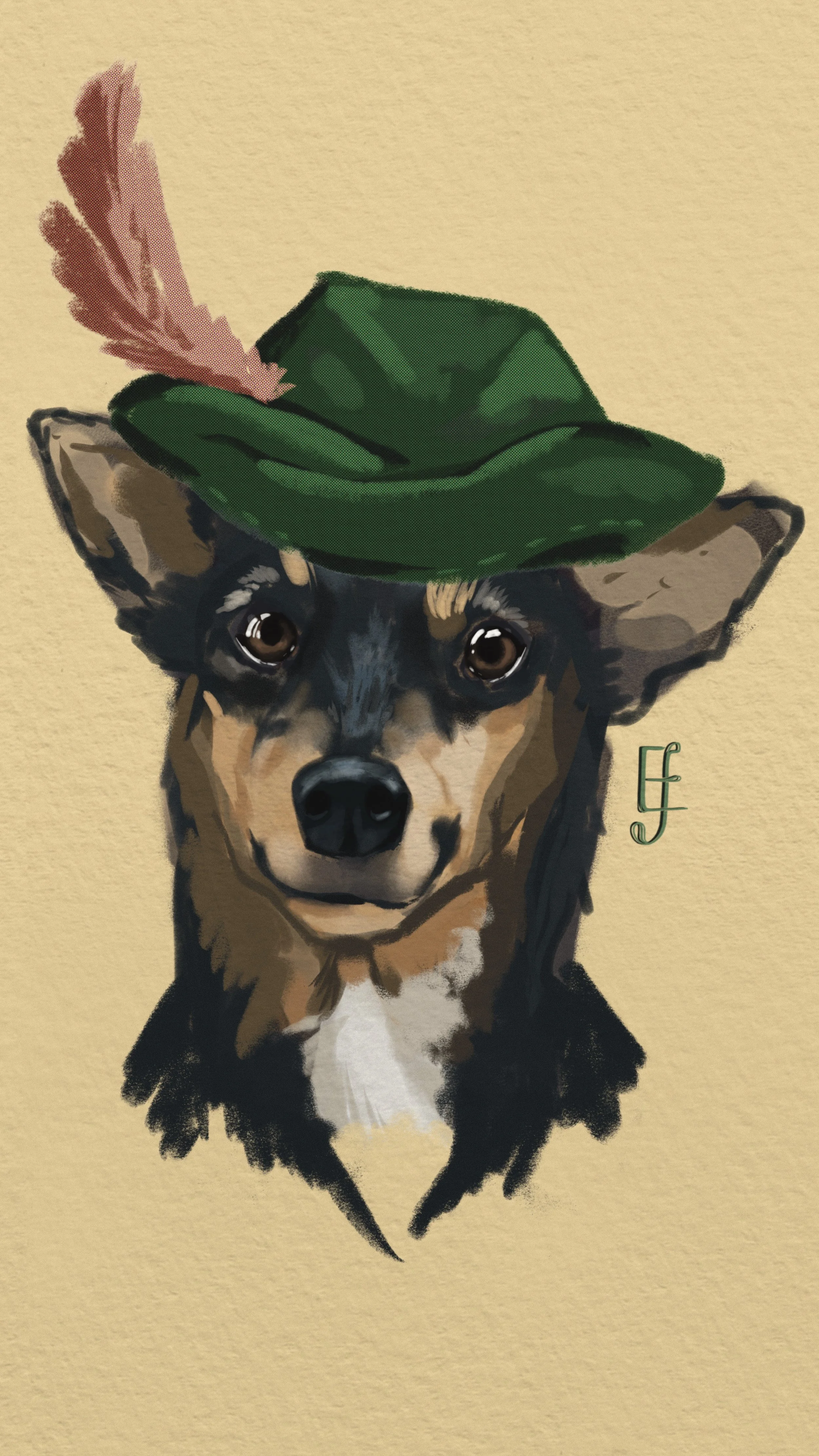 Robinhood pup.jpg