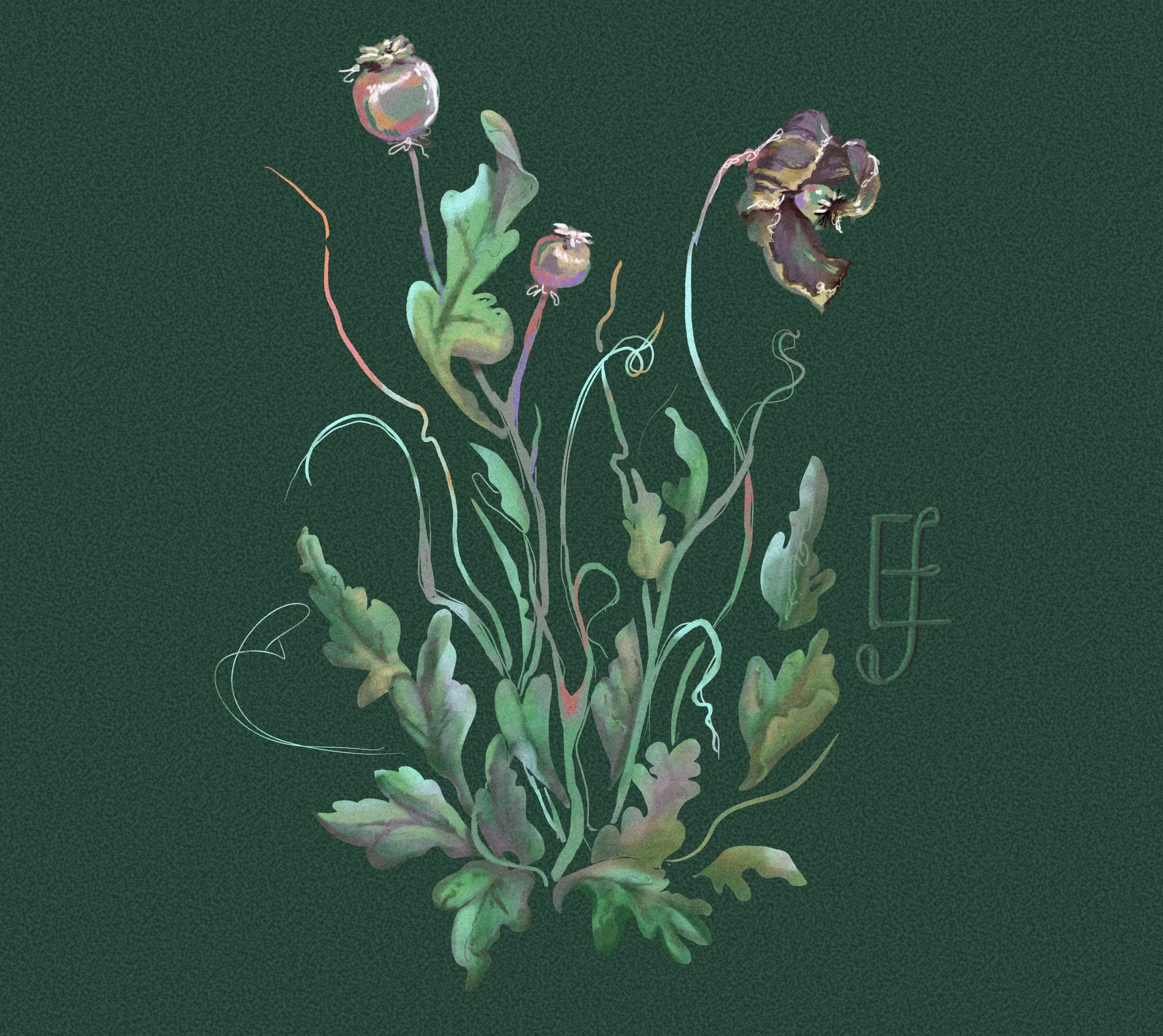 Untitled_Artwork 1.jpg