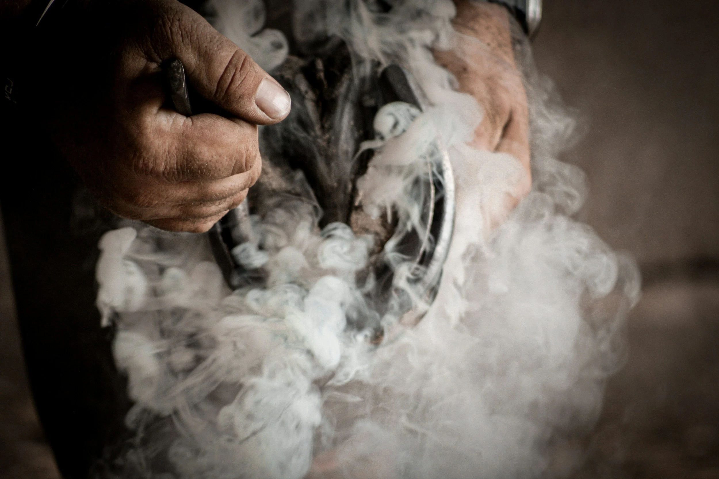 Farrier fits new shoes onto a horse hoof, the smoke from the new shoe billows out into the scene