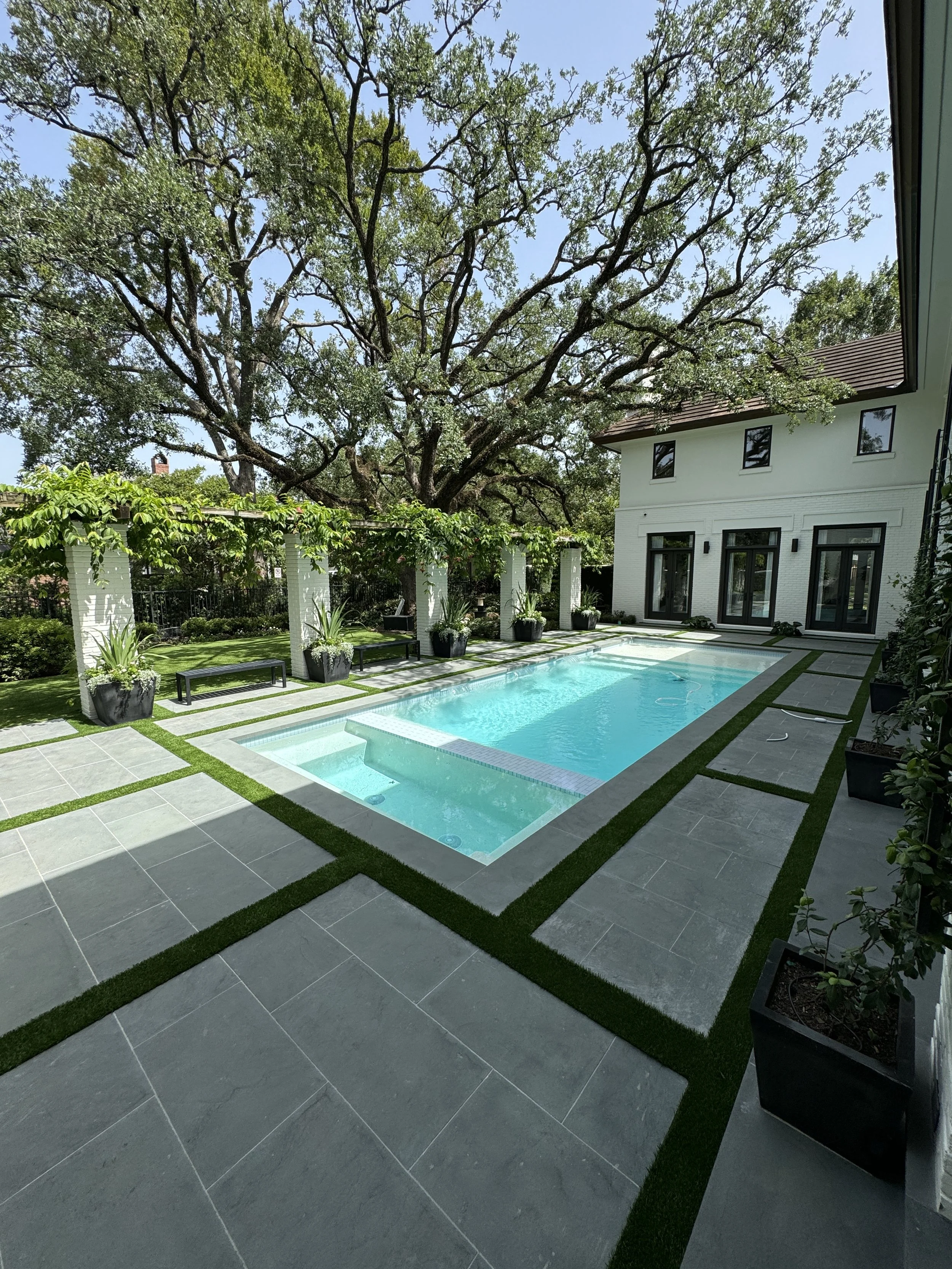 Backyard with swimming pool, large tree, and modern white house with black-framed windows and doors.