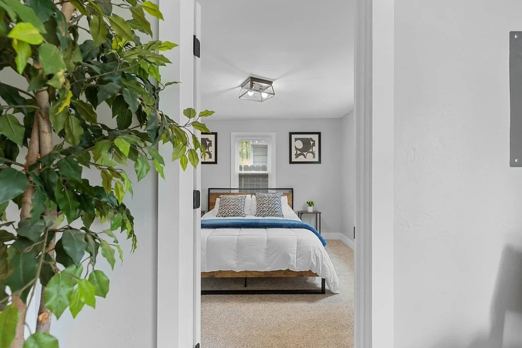 outside of a bedroom door with grey walls and carpet floors.  there is a plant in the foreground