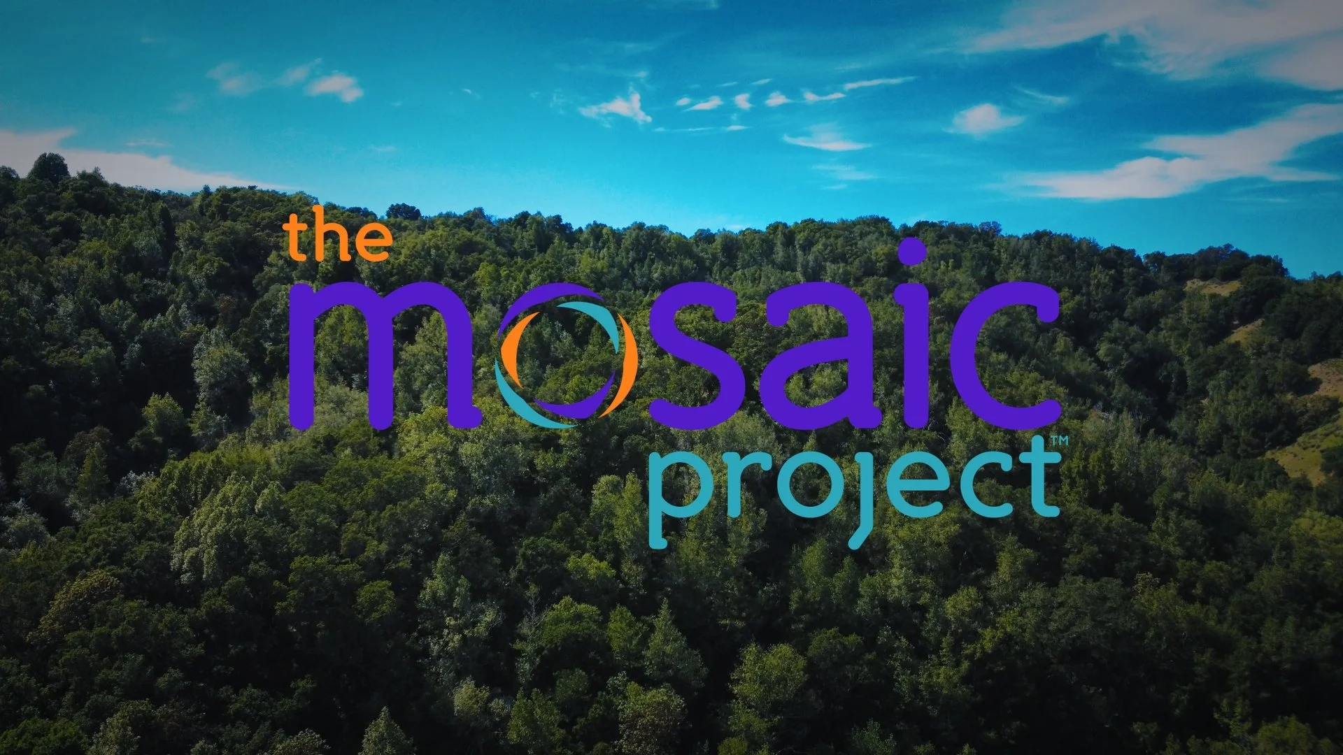 The Mosaic Project