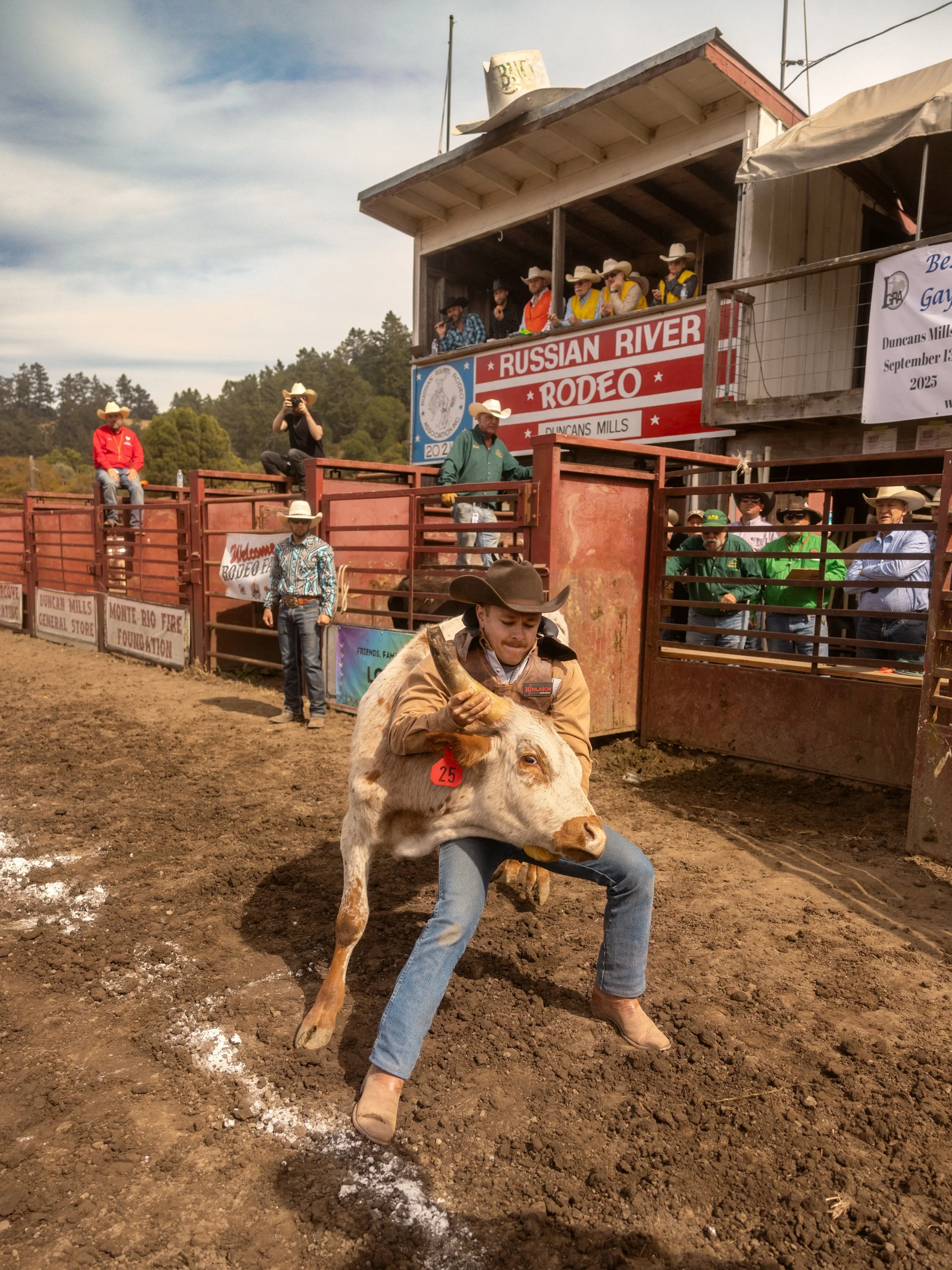 A cowboy holding a calf during a rodeo at the Russian River Rodeo event, with spectators watching from the grandstand.