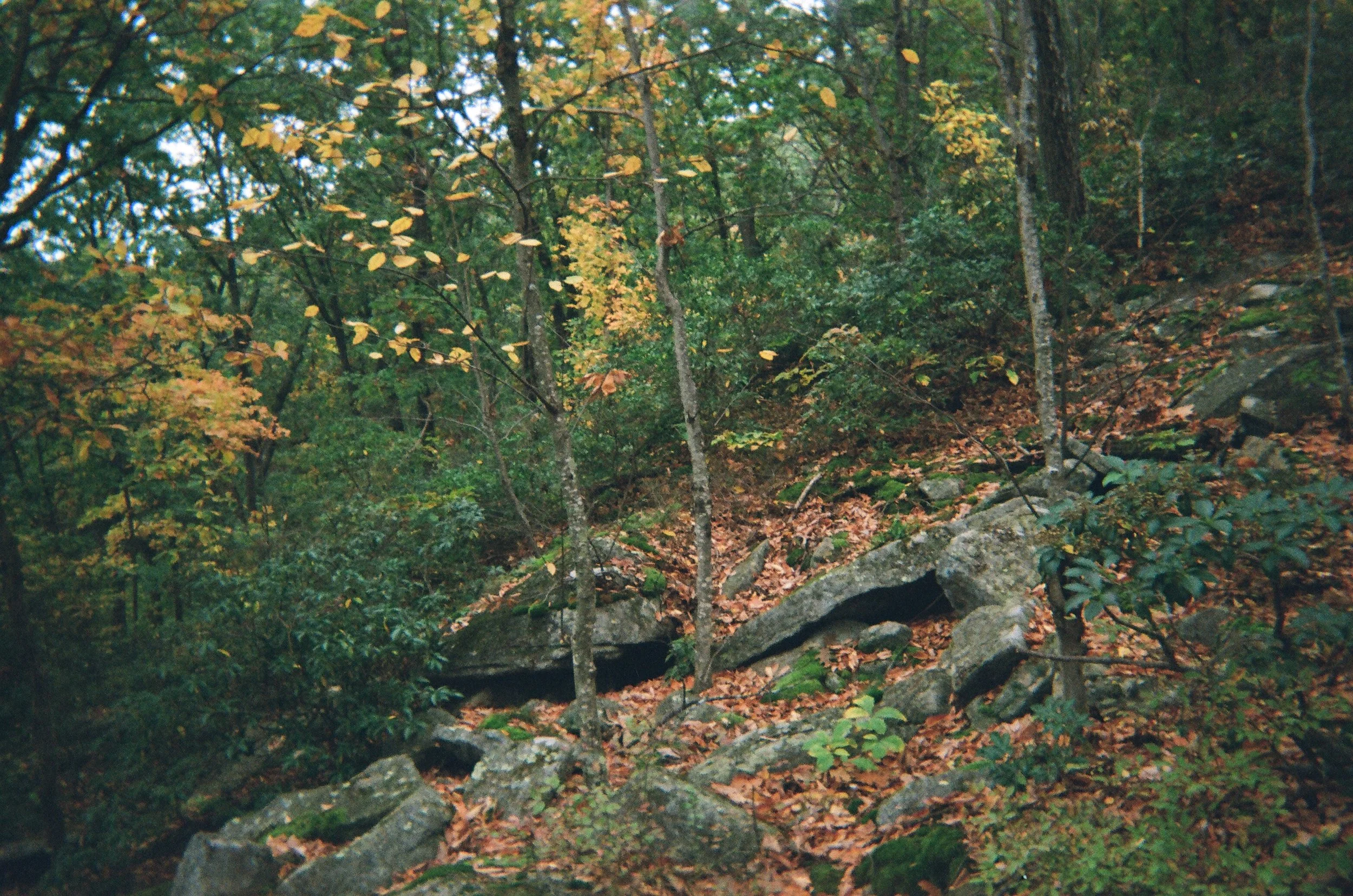 02640014.JPG