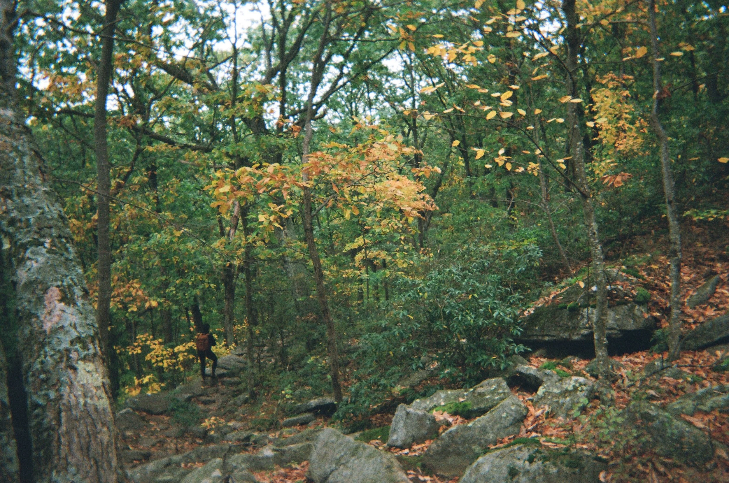 02640013.JPG