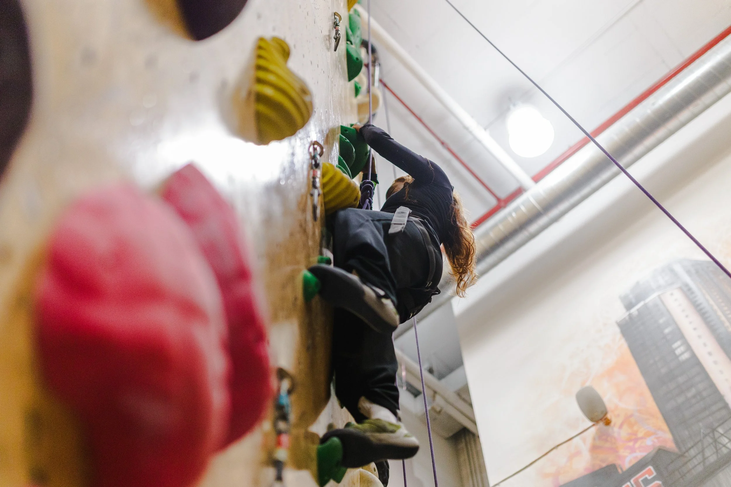 2025-10-24 _ Scott Hoffmann _ Climb with Creatives _ Brooklyn Boulders, Queensbridge _ 0132 (full-res).jpg
