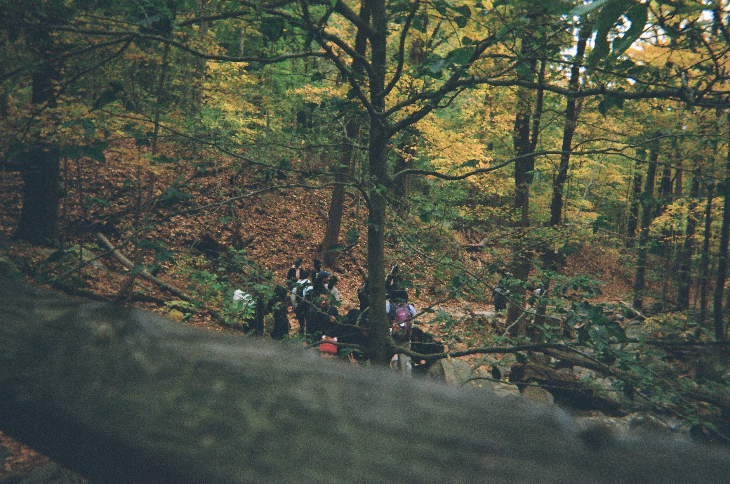 02640006.JPG