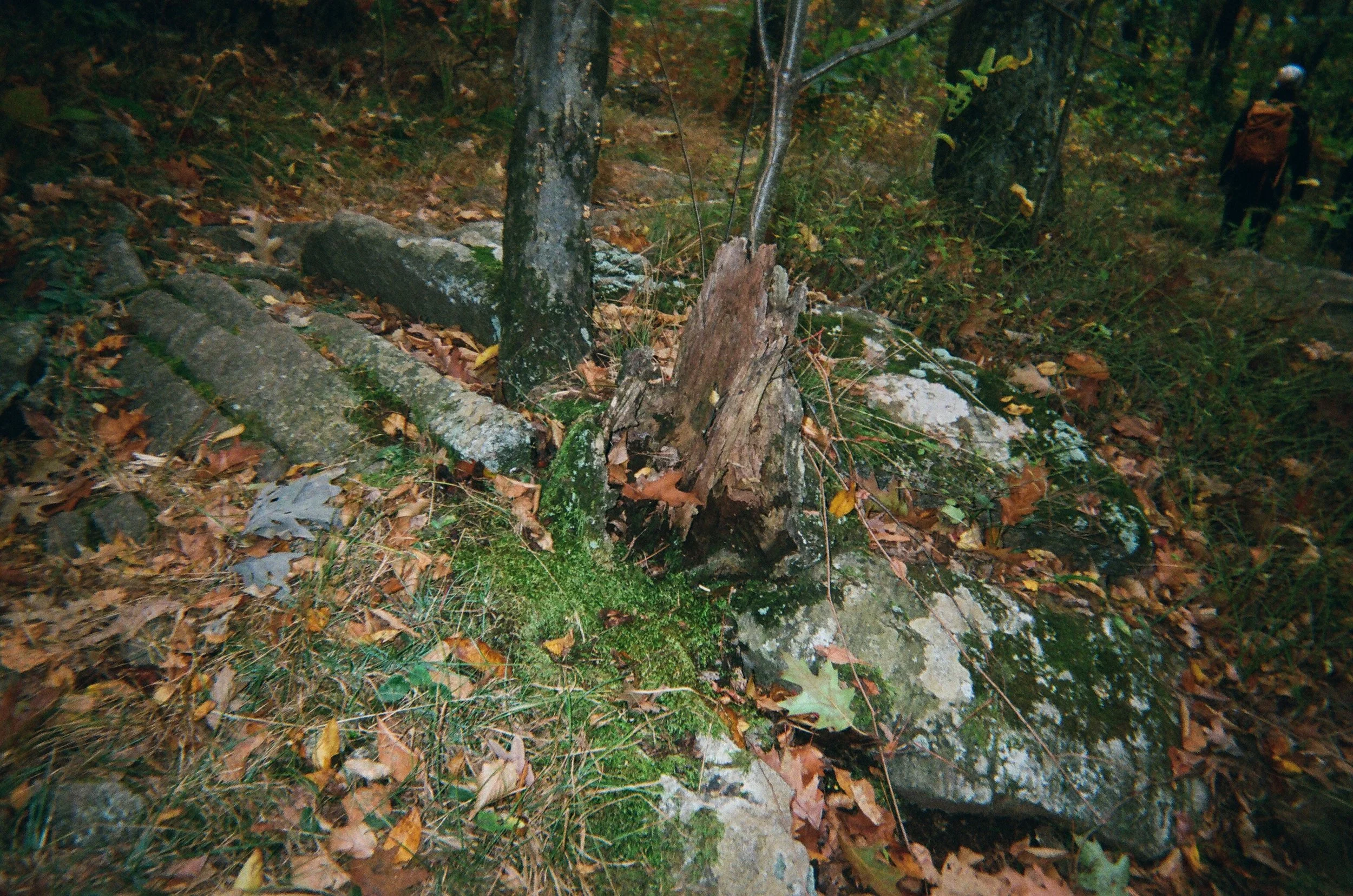 02660012.JPG