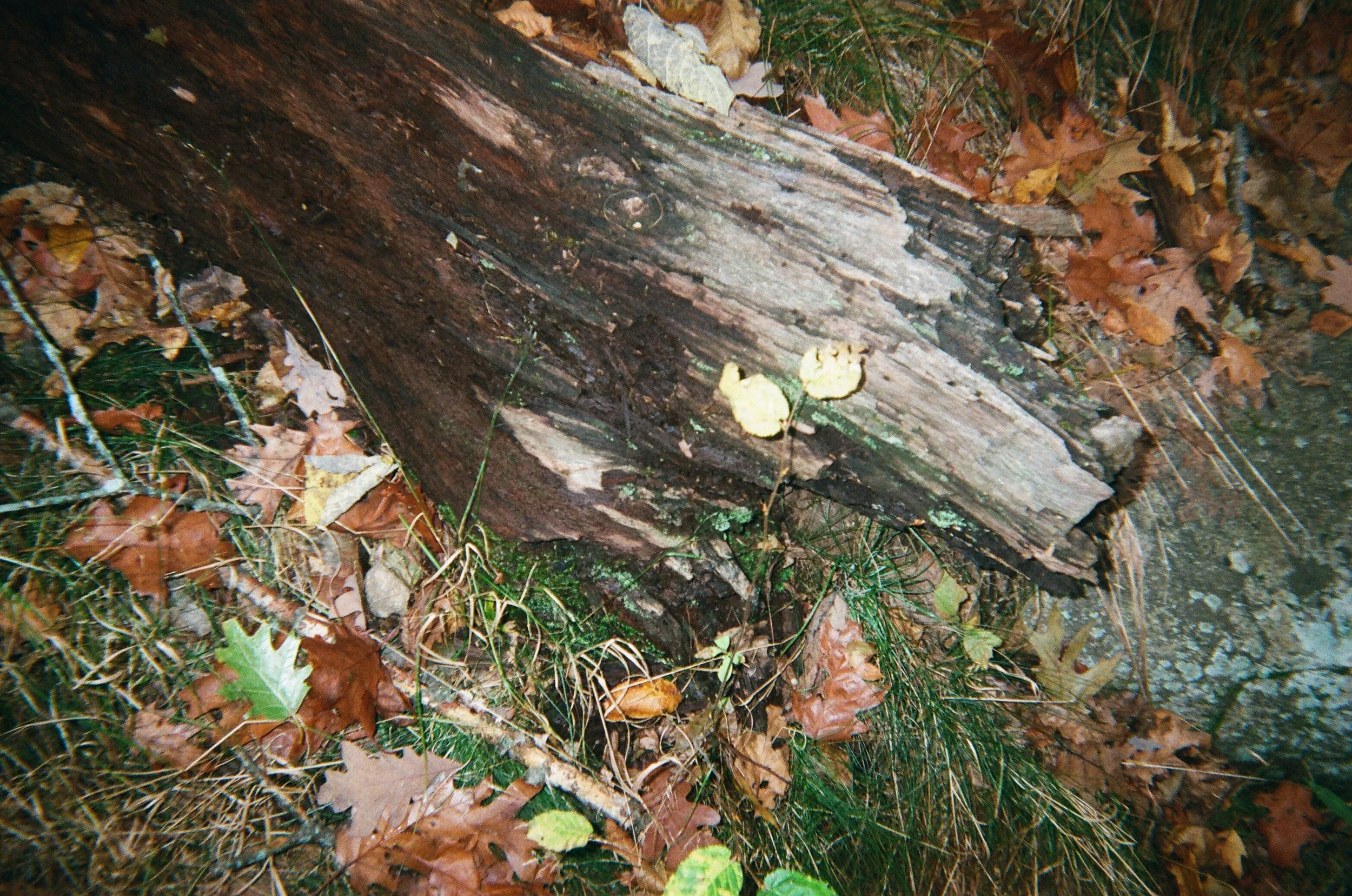 02660014.JPG