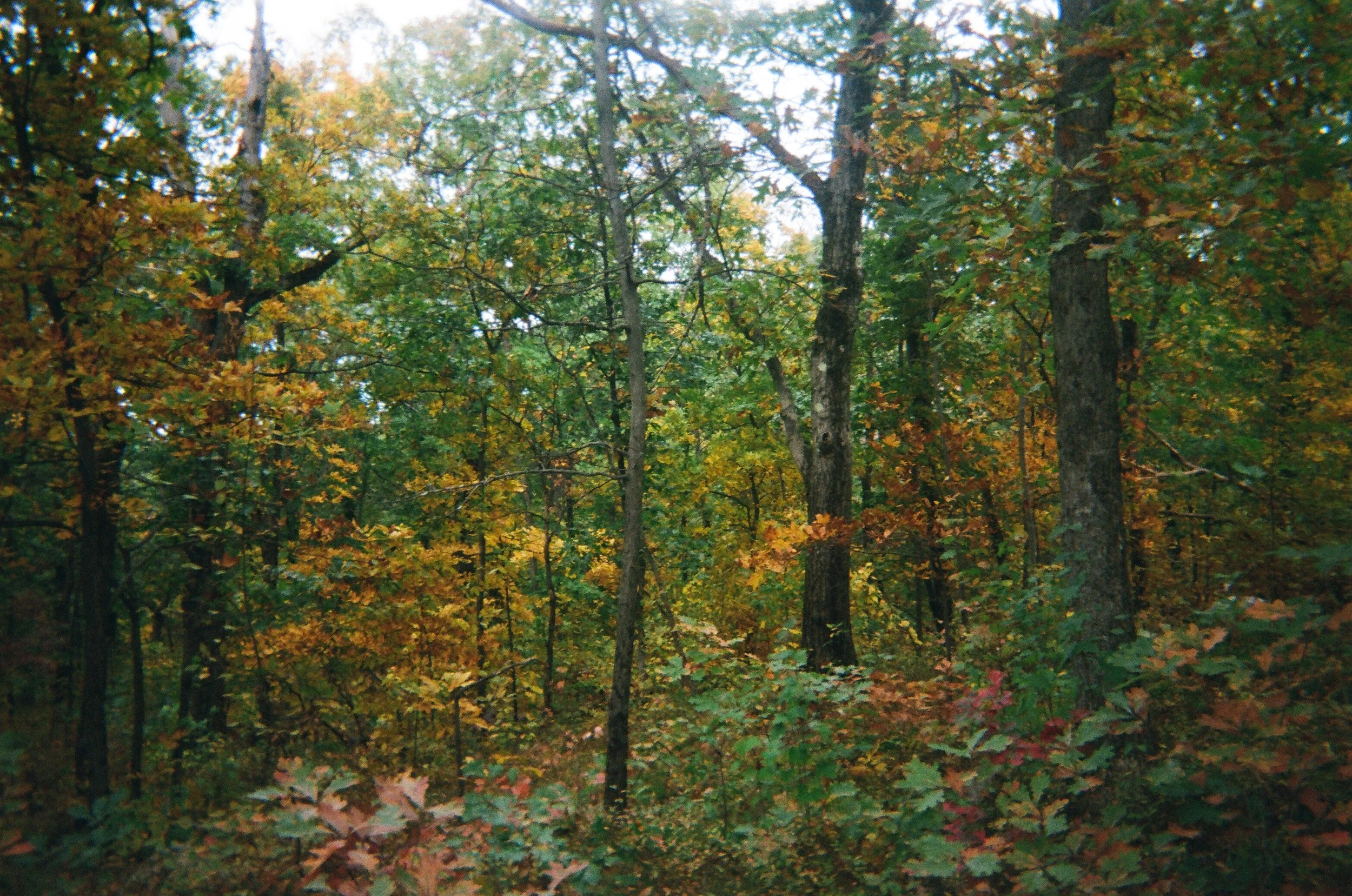 02660015.JPG