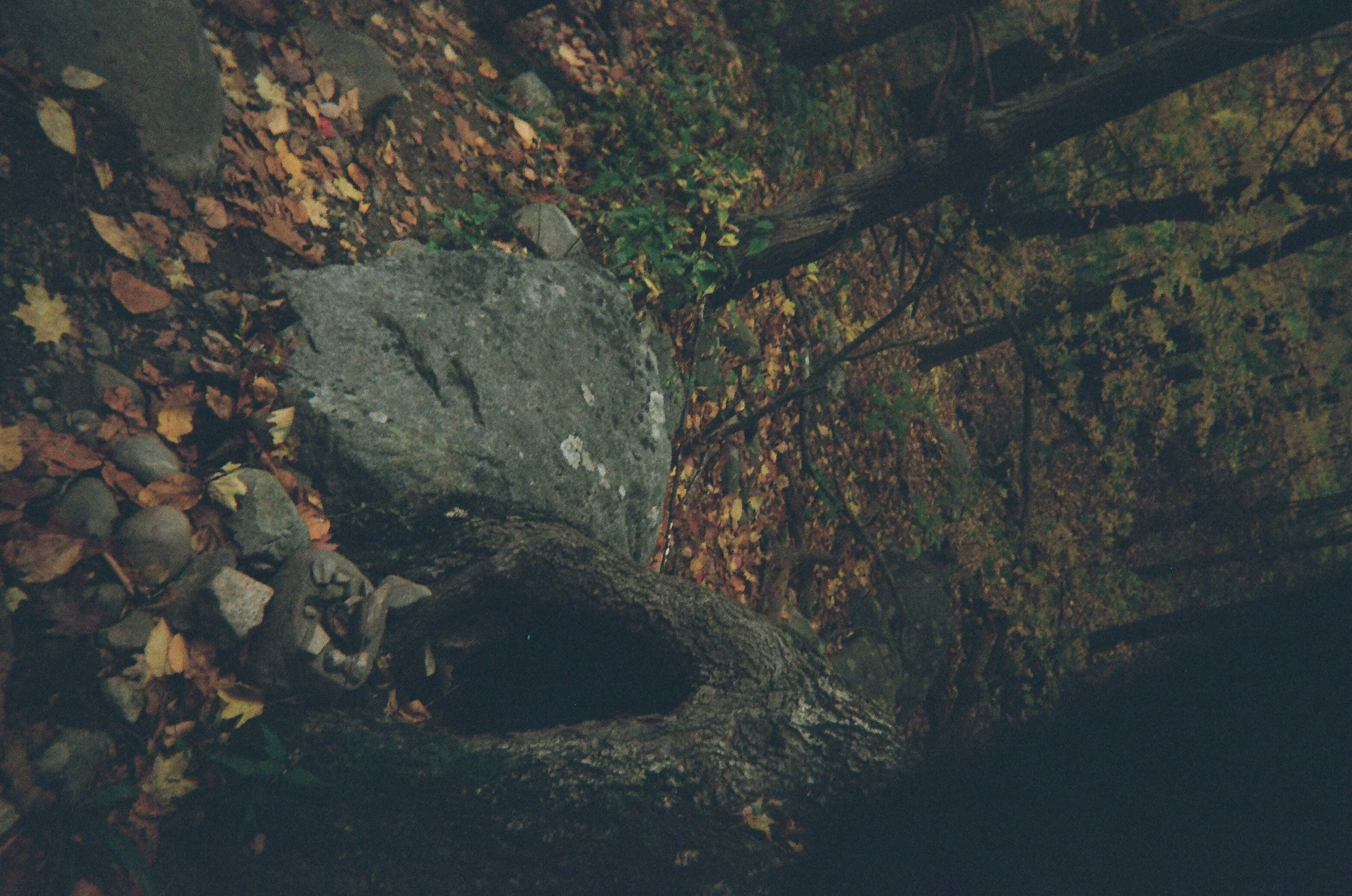 02640010.JPG