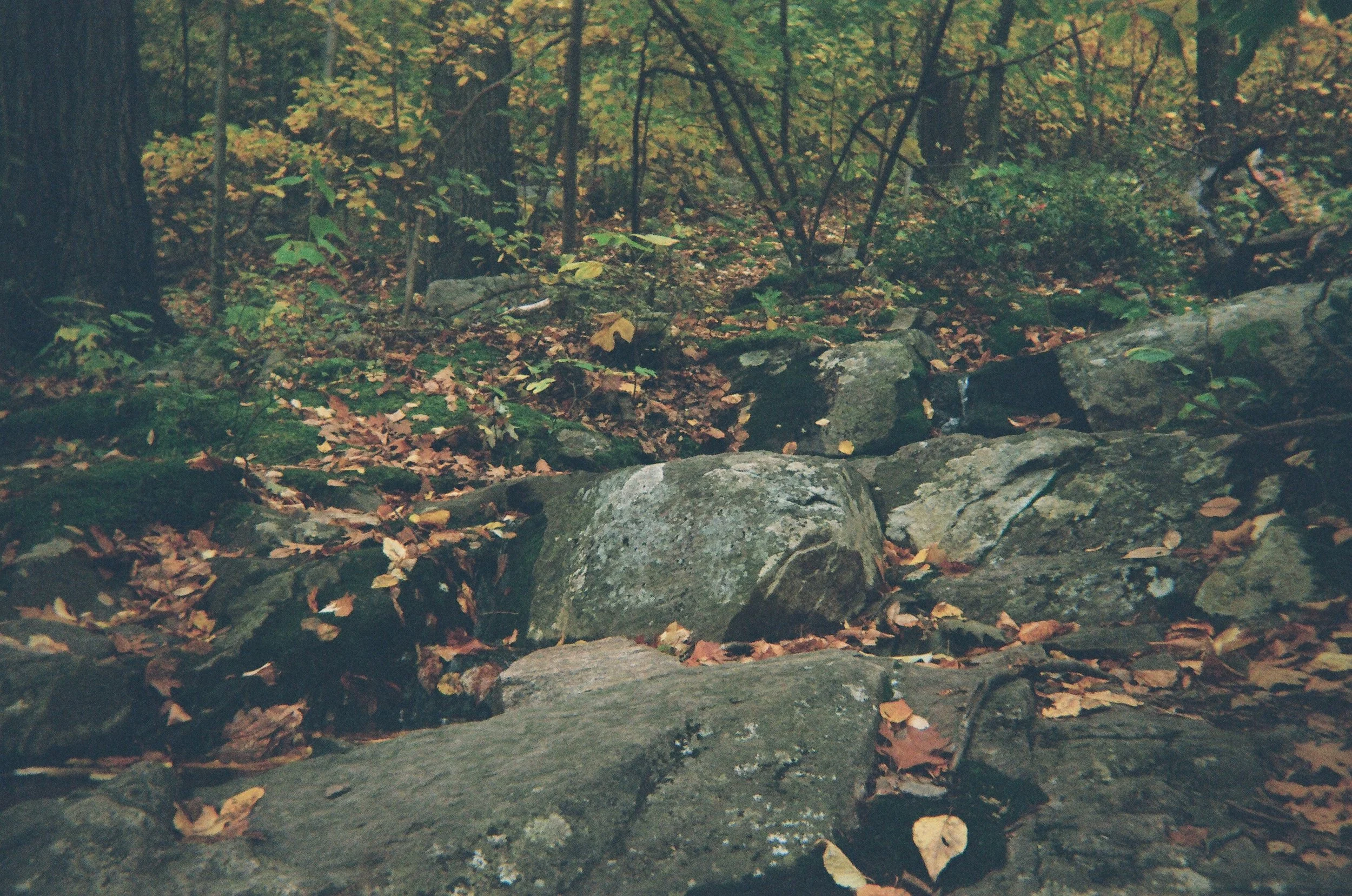 02640012.JPG
