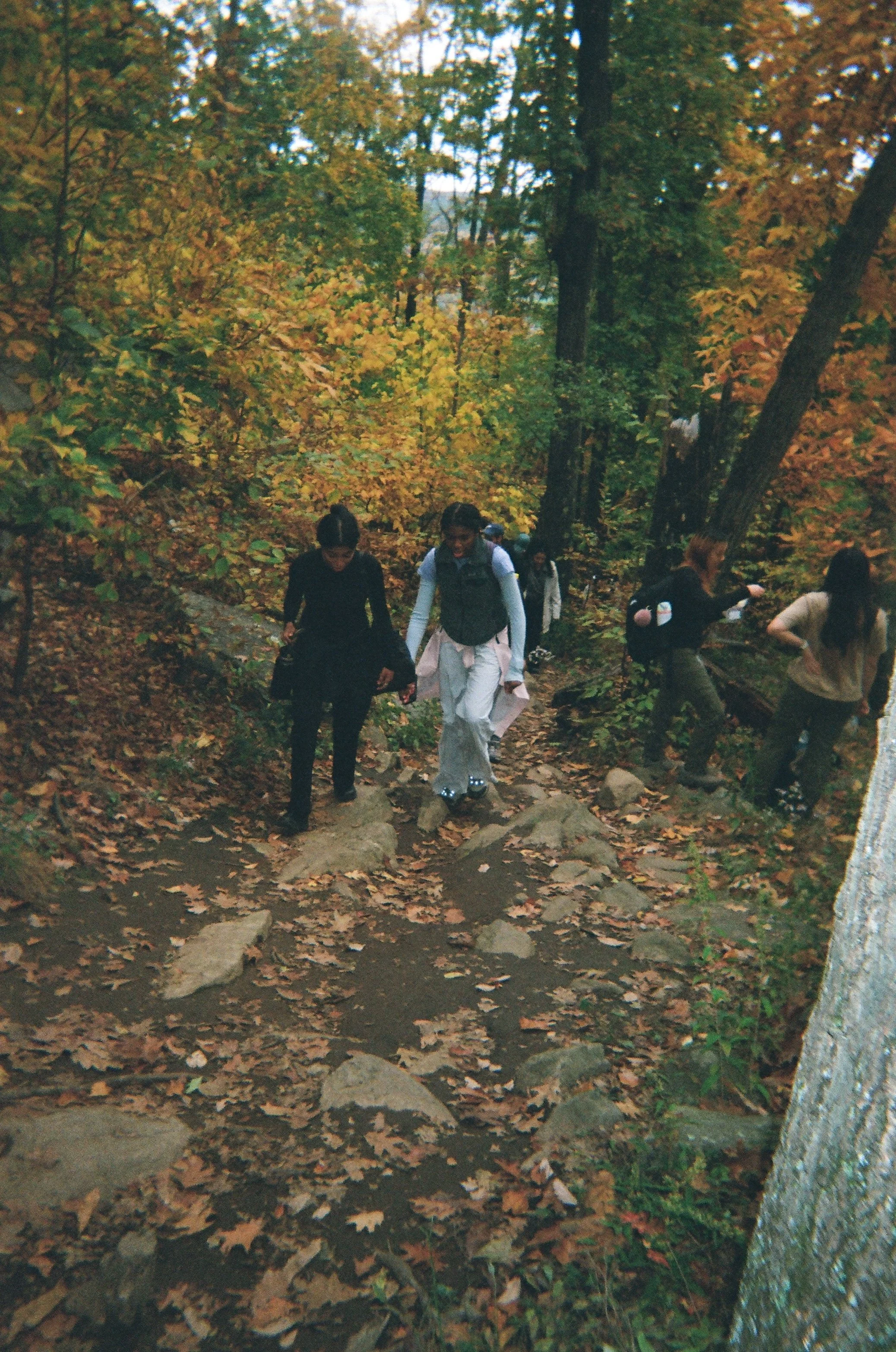 02650020.JPG