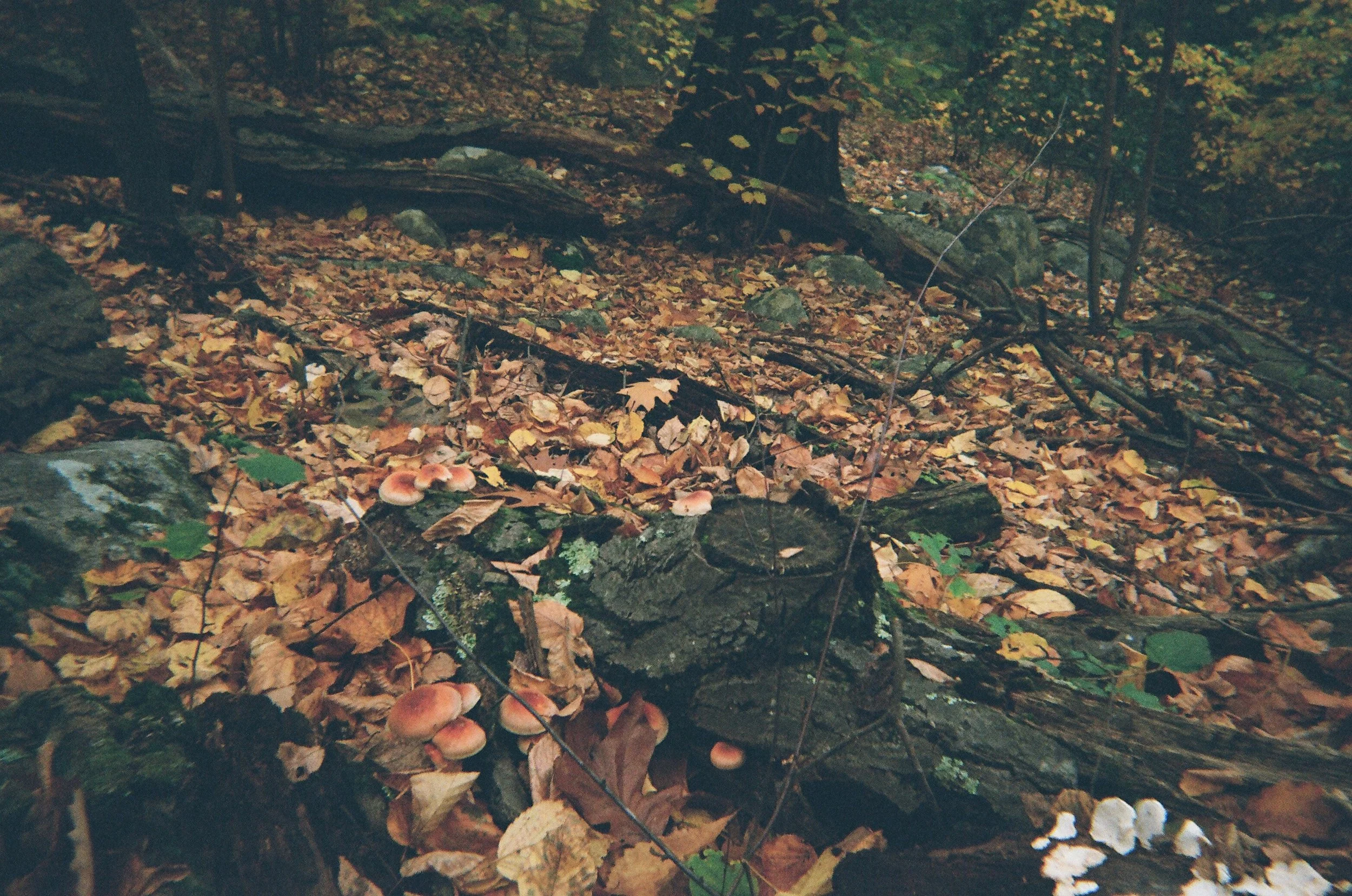 02640011.JPG