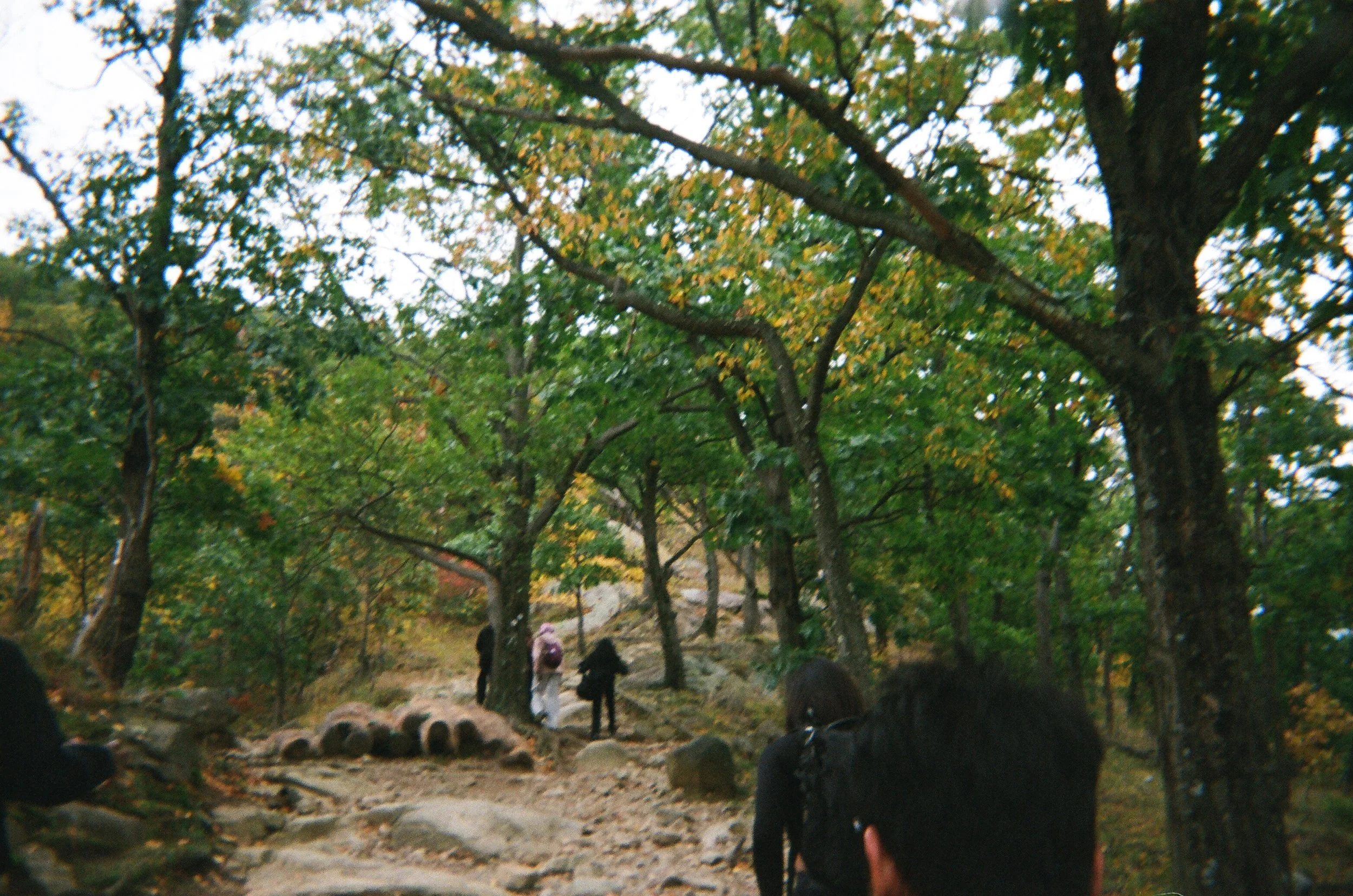 02650025.JPG
