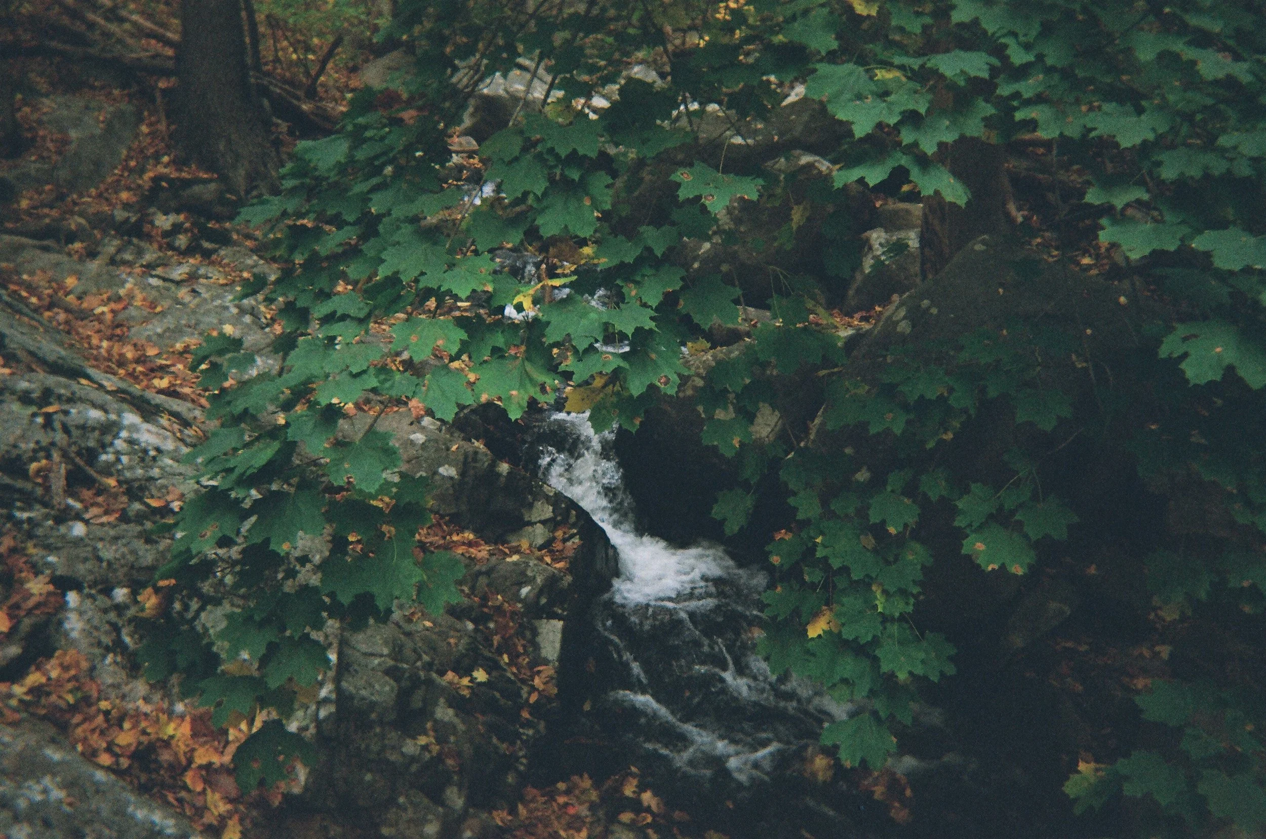 02640007.JPG