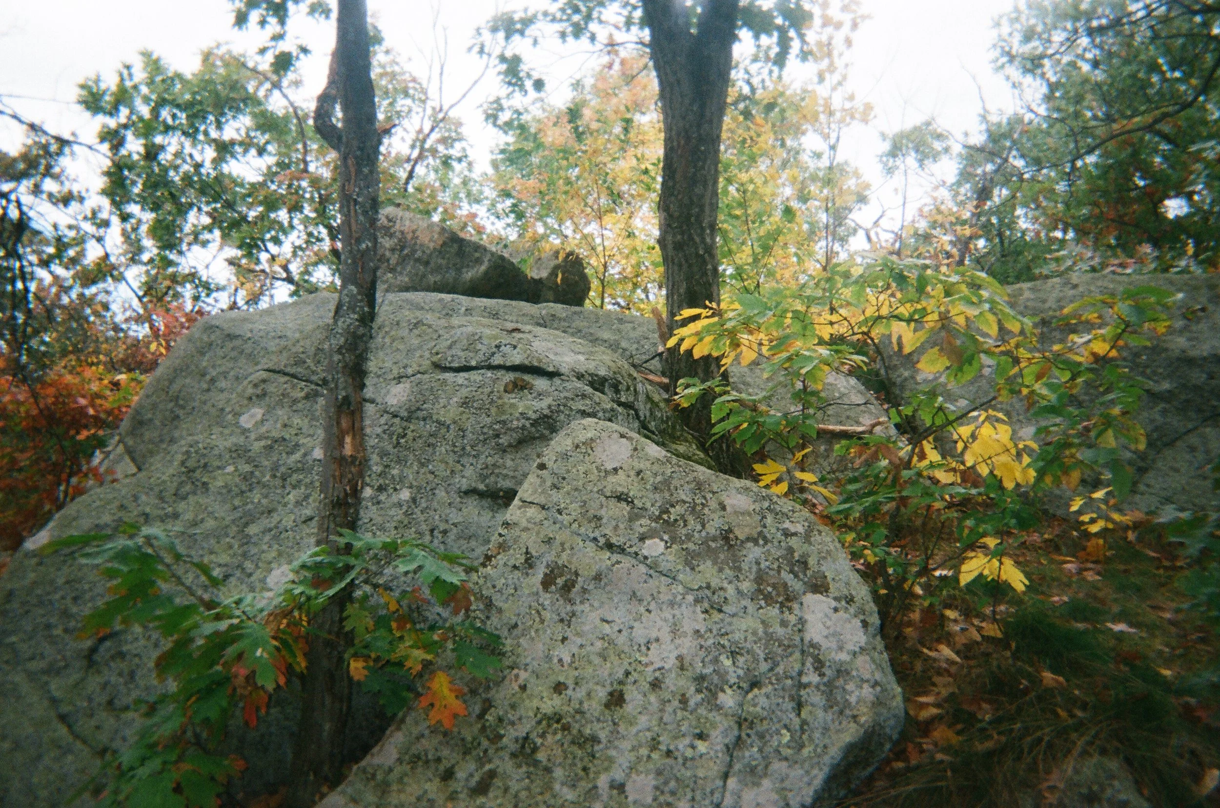 02660011.JPG