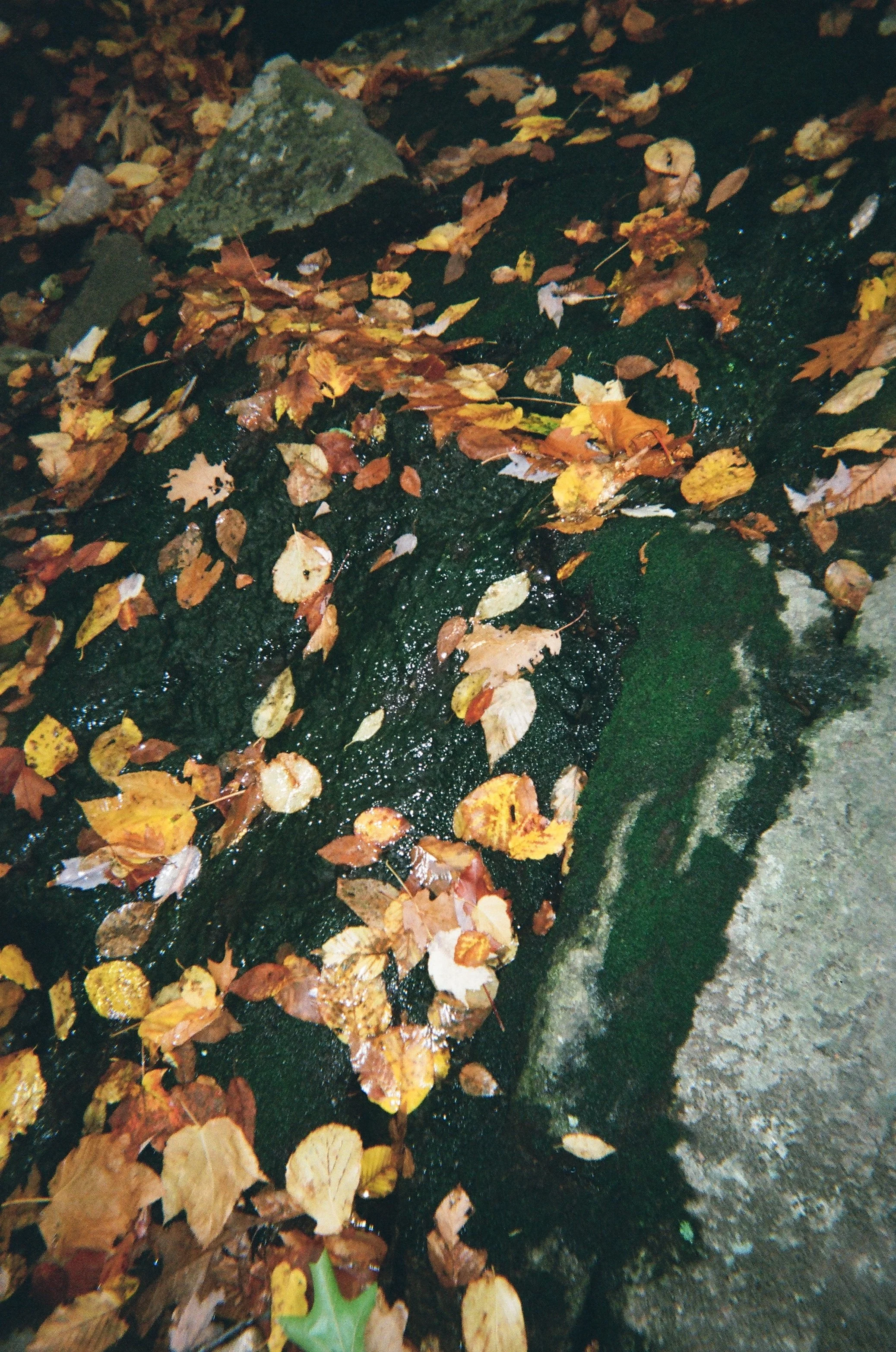 02650004.JPG