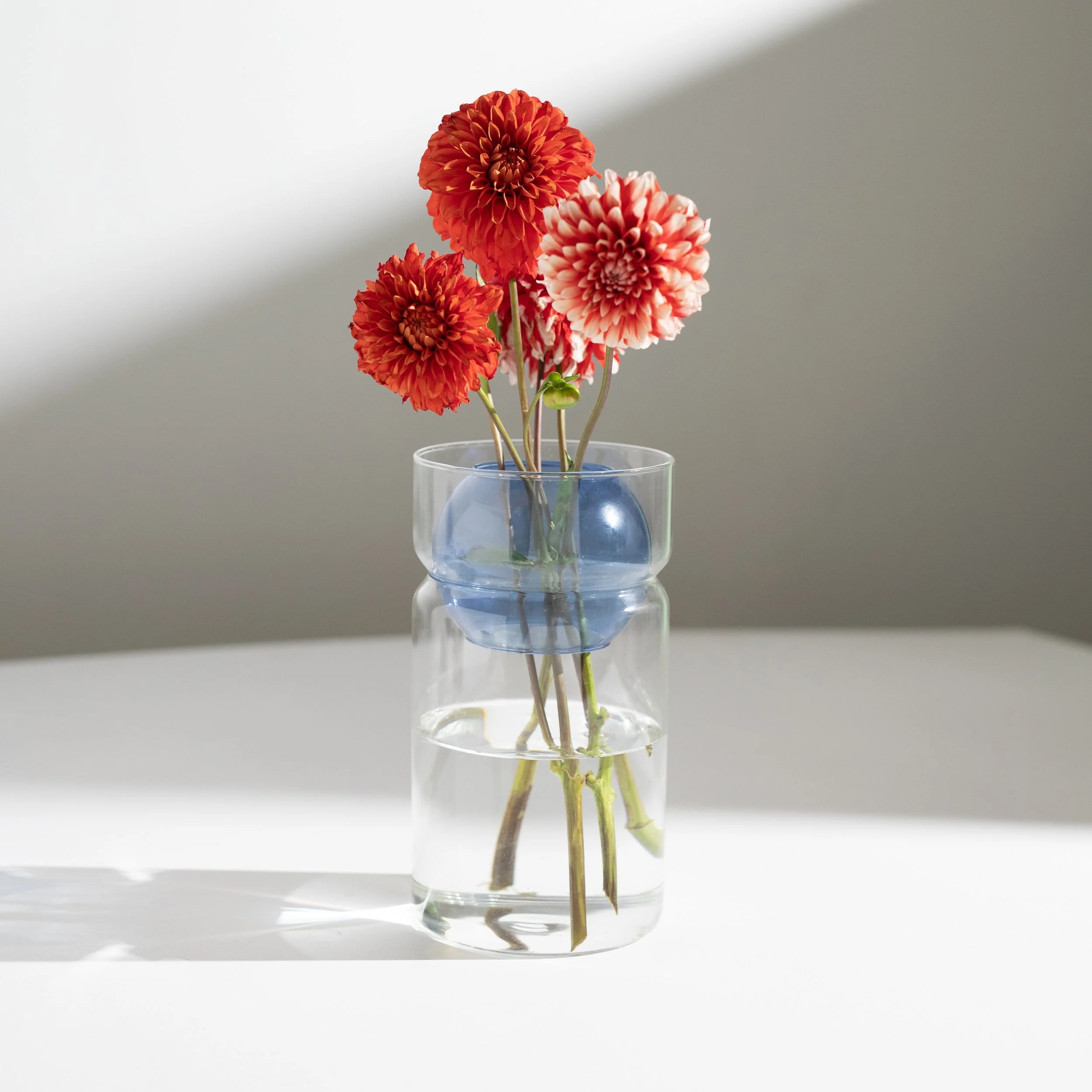 Vase+-+Clear+with+Blue+-+Lifestyle+-+R.jpg